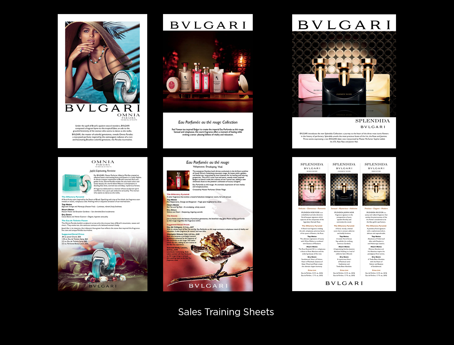 BVLG_Training Sheets.jpg