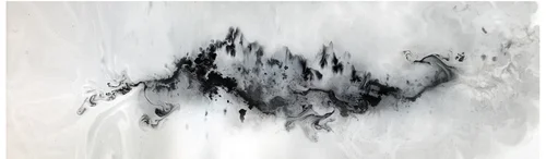  Landscape 2, Pigment Print Photograph 2009.&nbsp;72 in. x 24 in.&nbsp; 