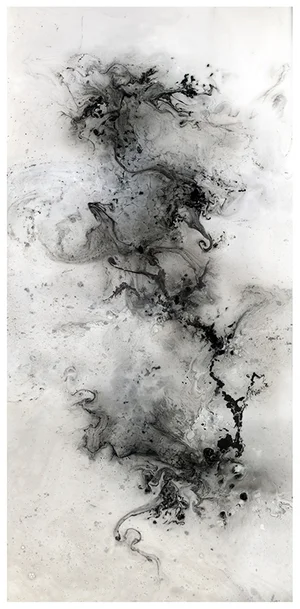  Dragon 2, Pigment Print Photograph, 2009.&nbsp;50 in. x 24 in.&nbsp;    