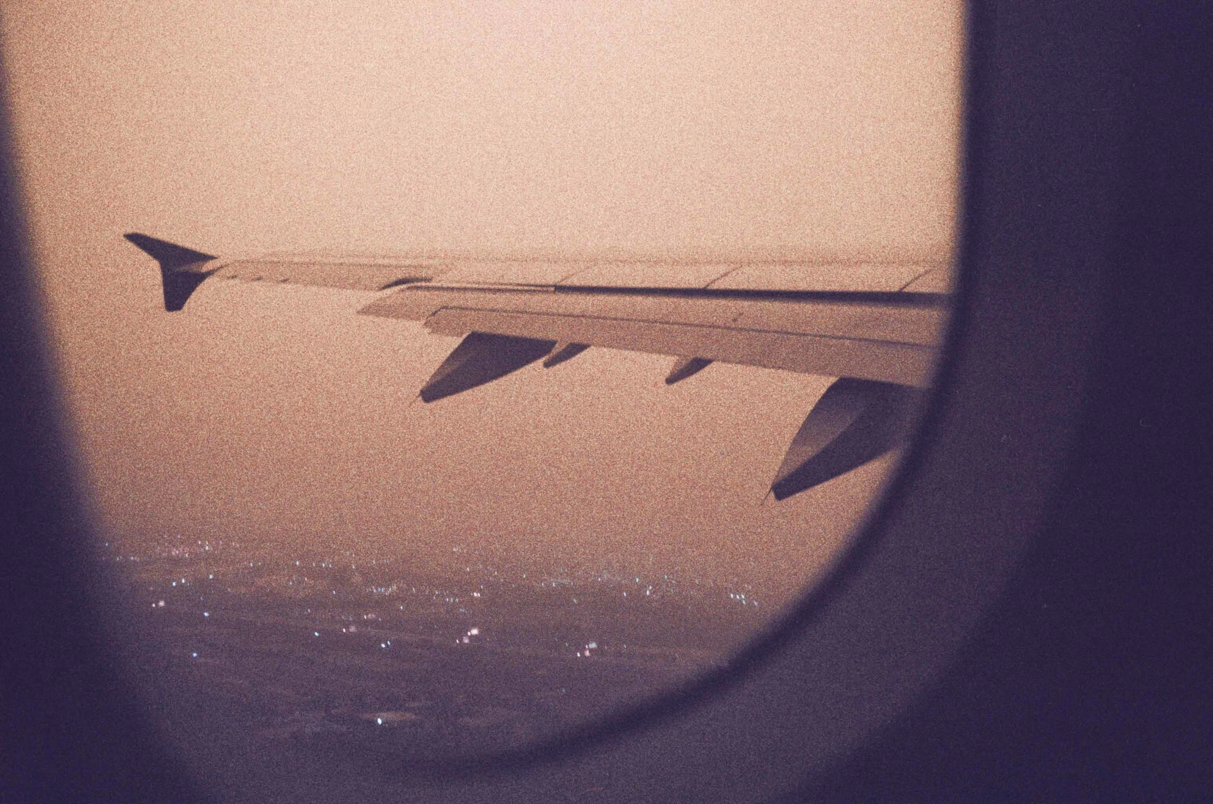 wing2 copy.jpg