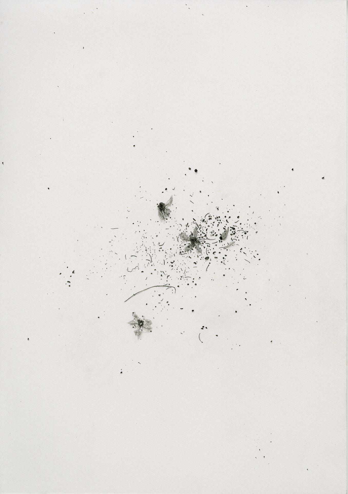 Debris