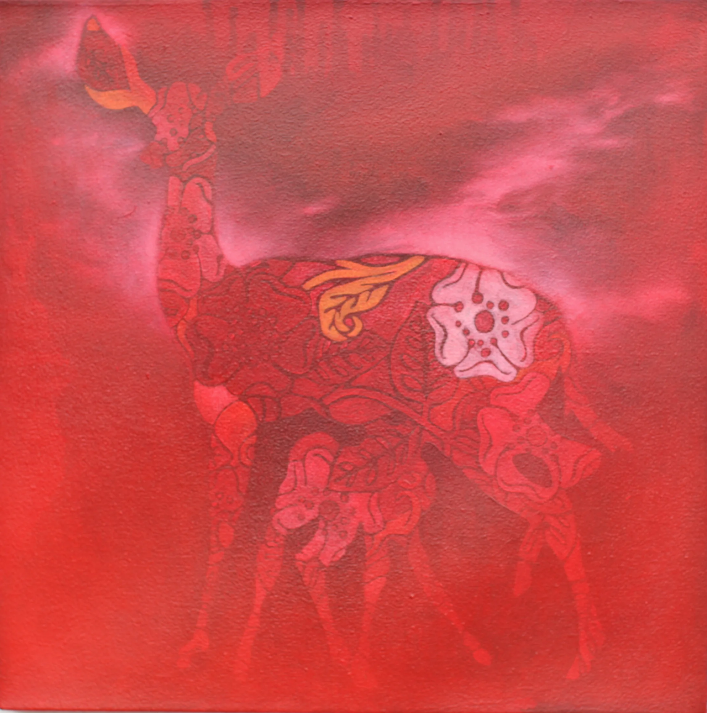 claire-5.jpg