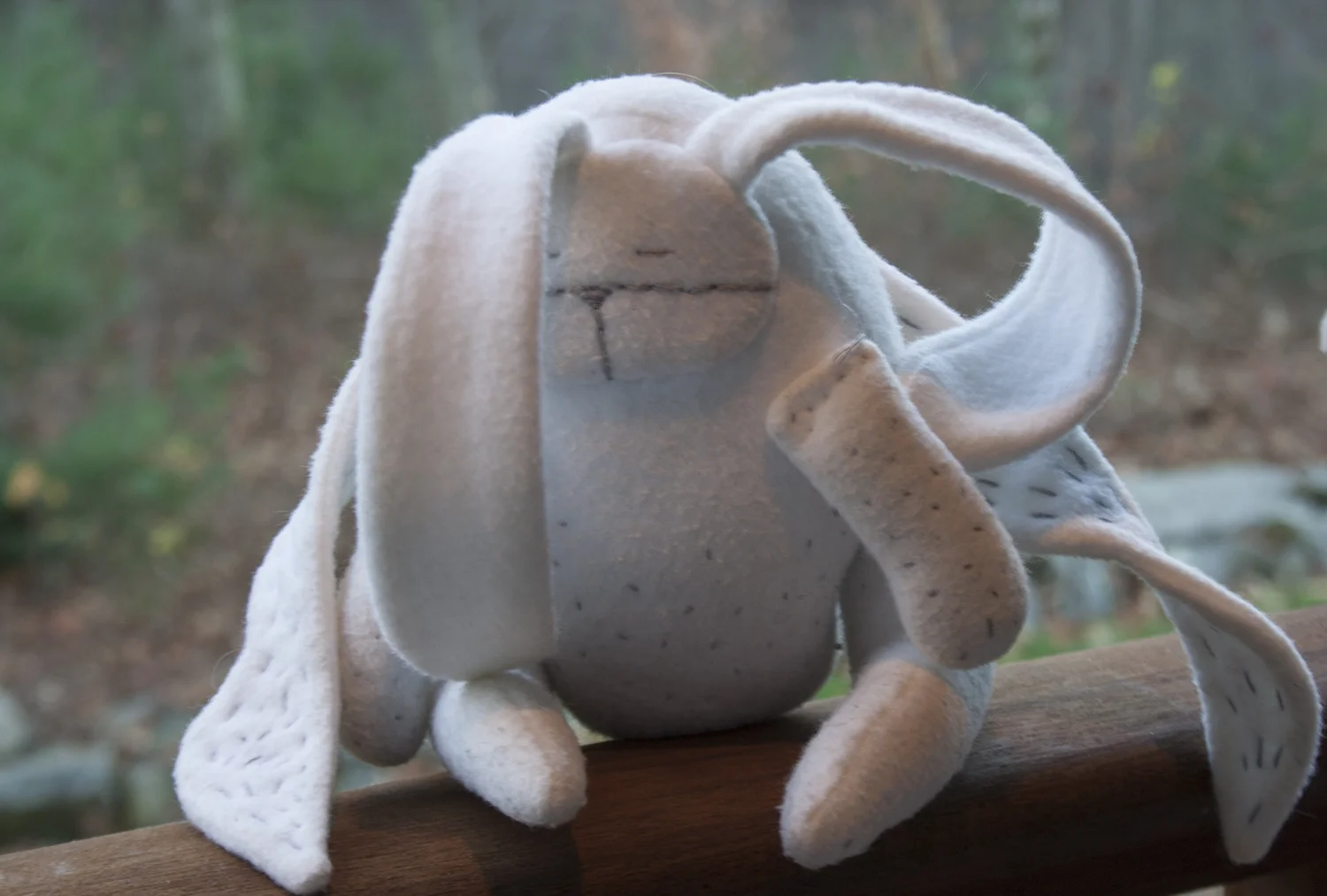 flyingbunnyfront.jpg