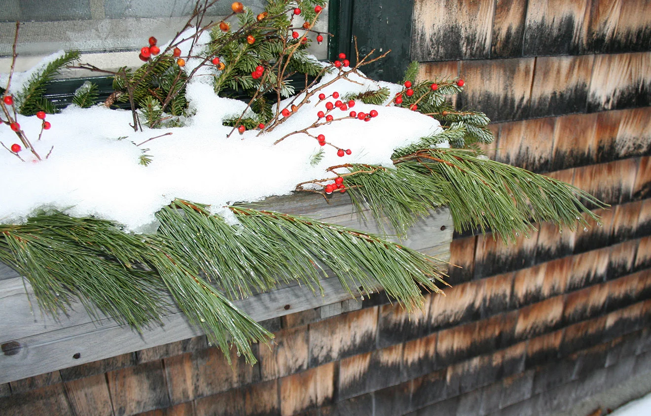 Reflection, Courage and Change - Doing What You Love