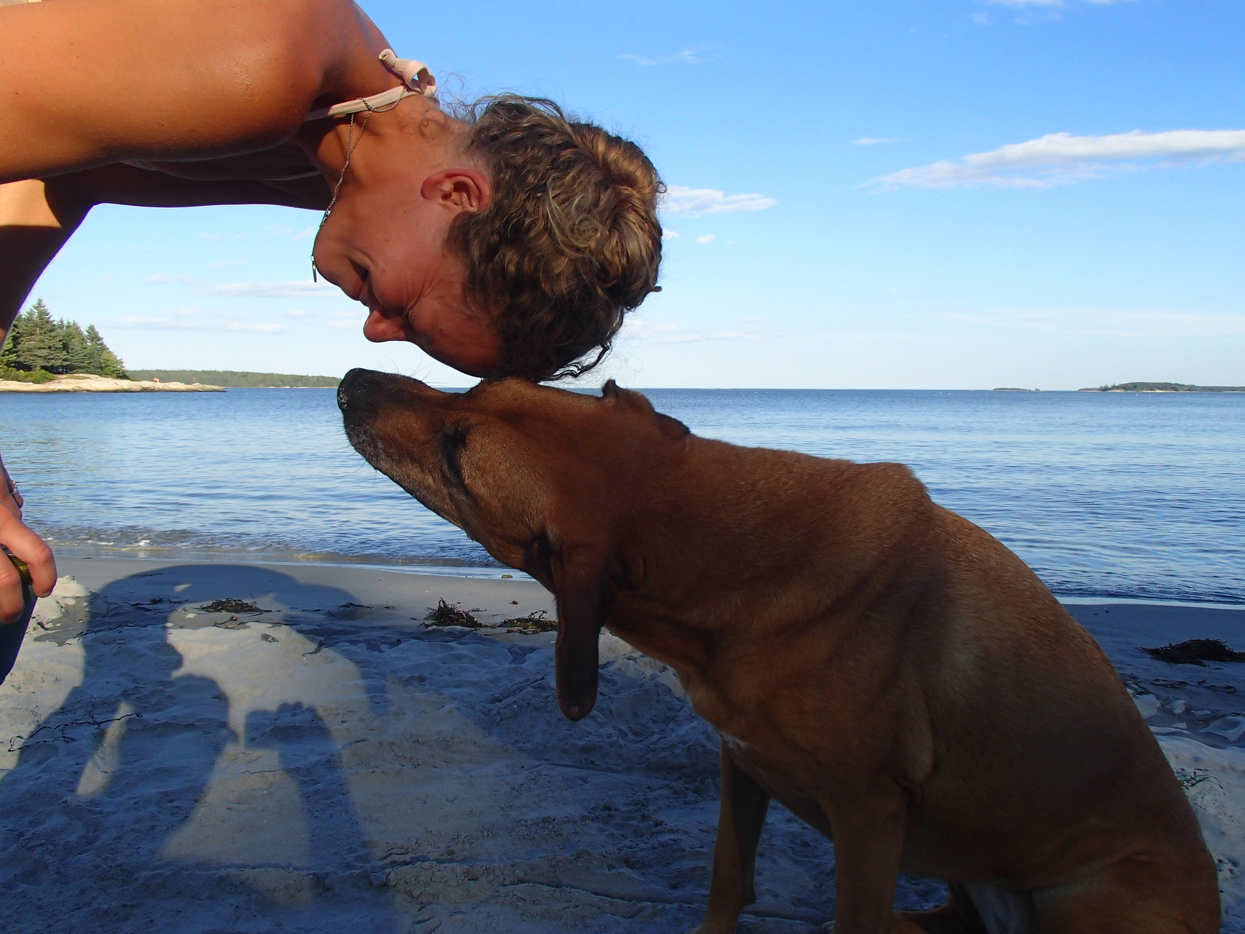 laura and toulouse, summer 2014