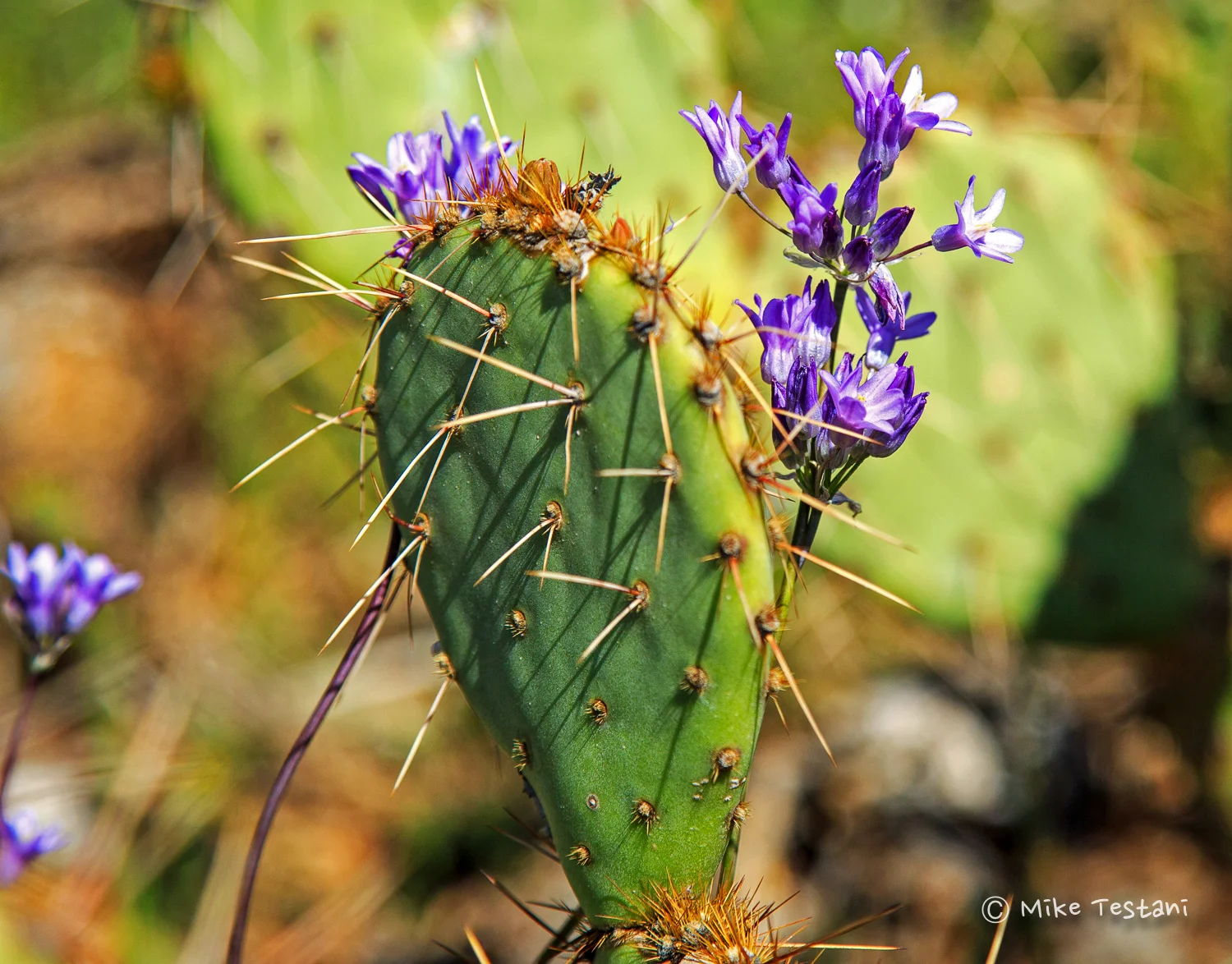 _J0A0516_edited-1.jpg
