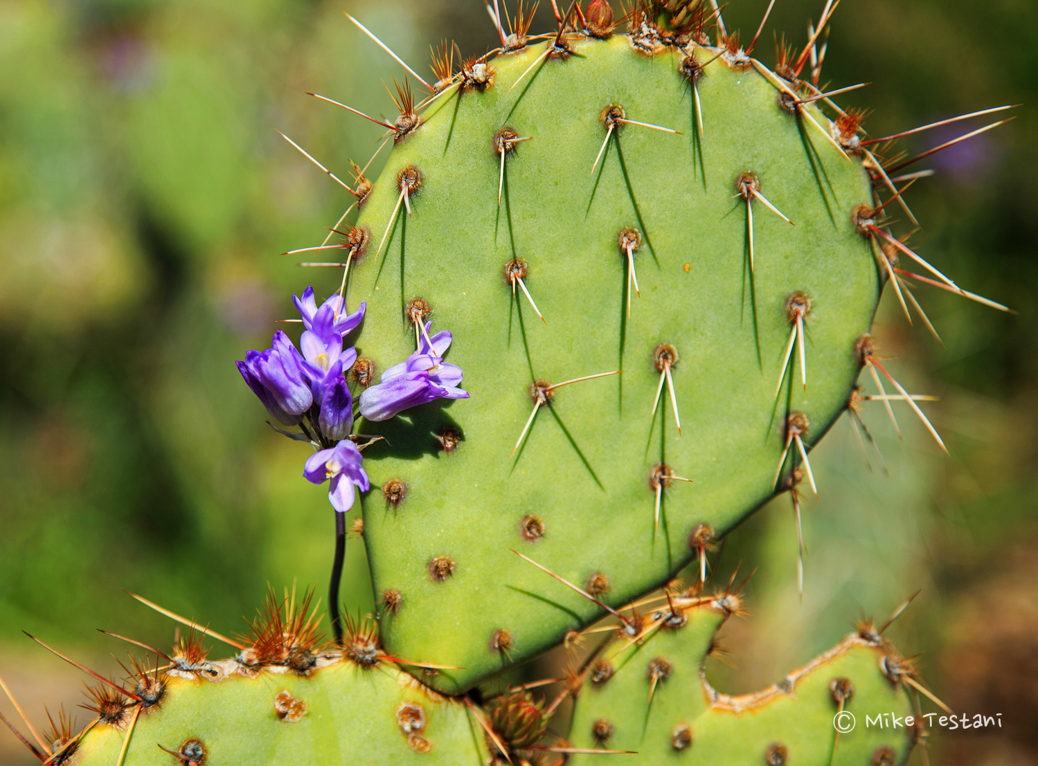 _J0A0518_edited-1.jpg