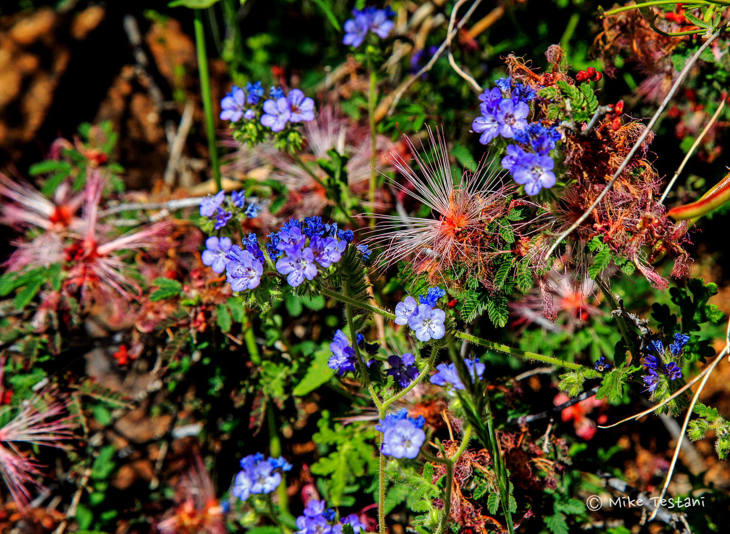 _J0A0521_edited-1.jpg