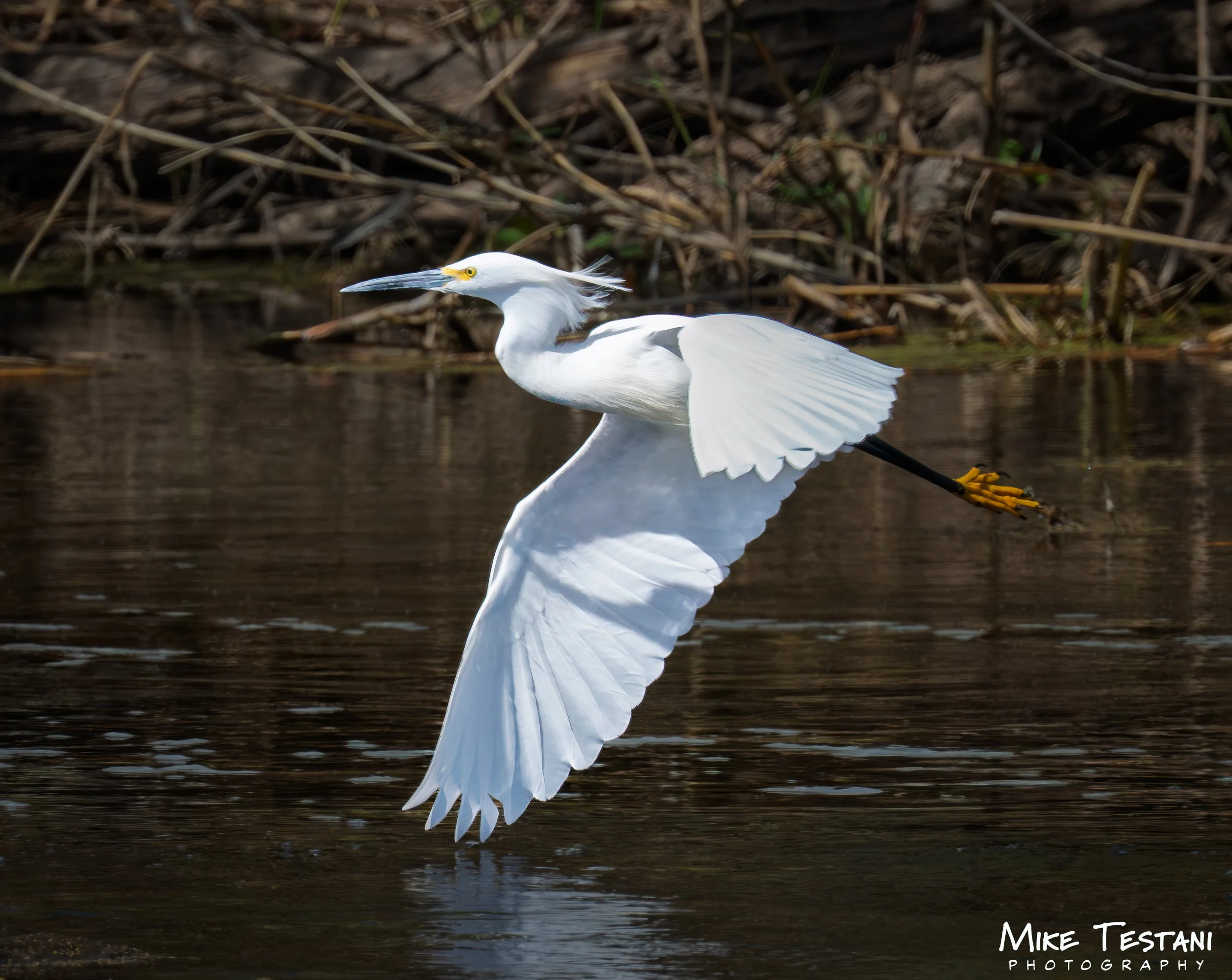 Egrett 2 314.jpg