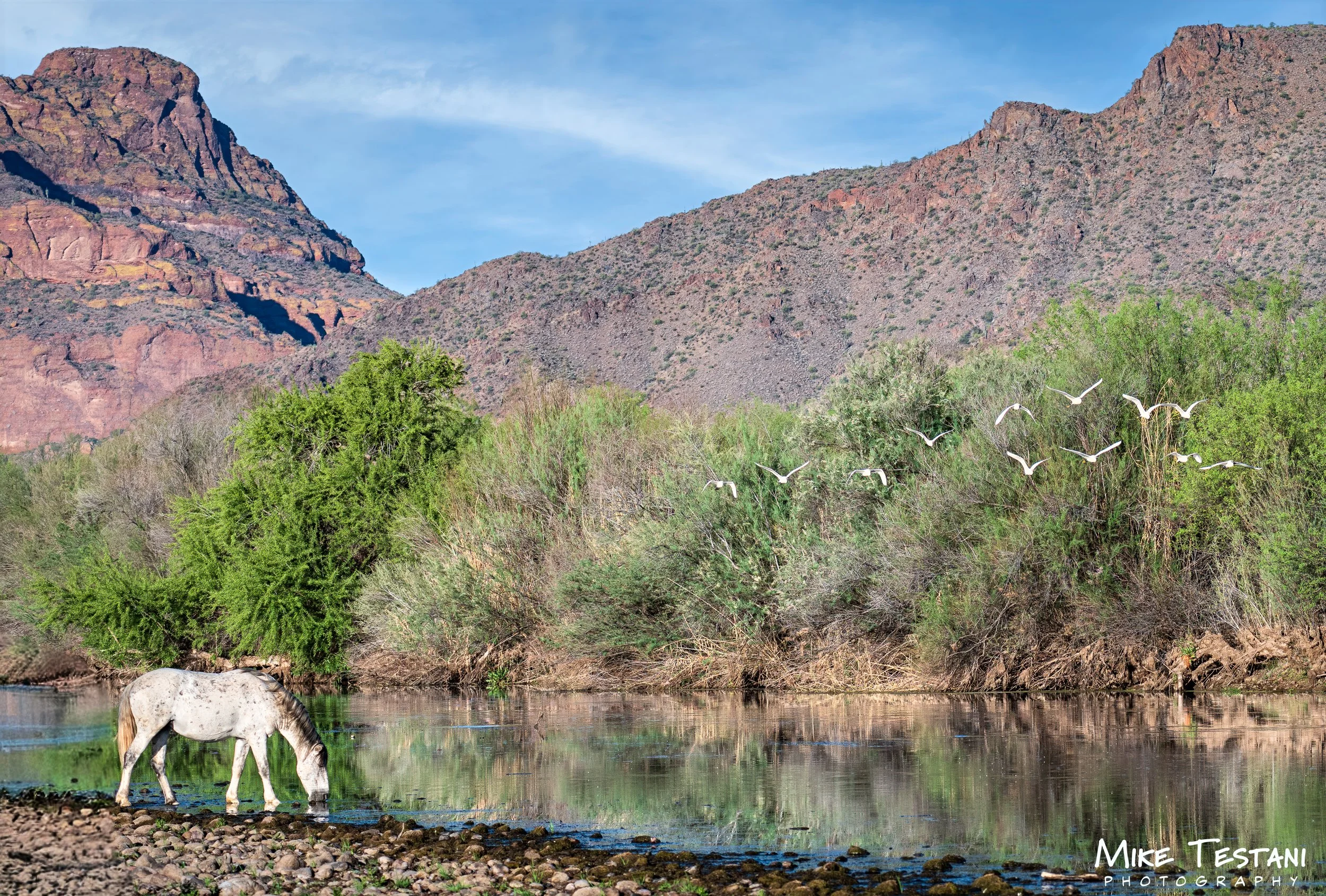 Salt River Sunrise March 19 2026+.jpg