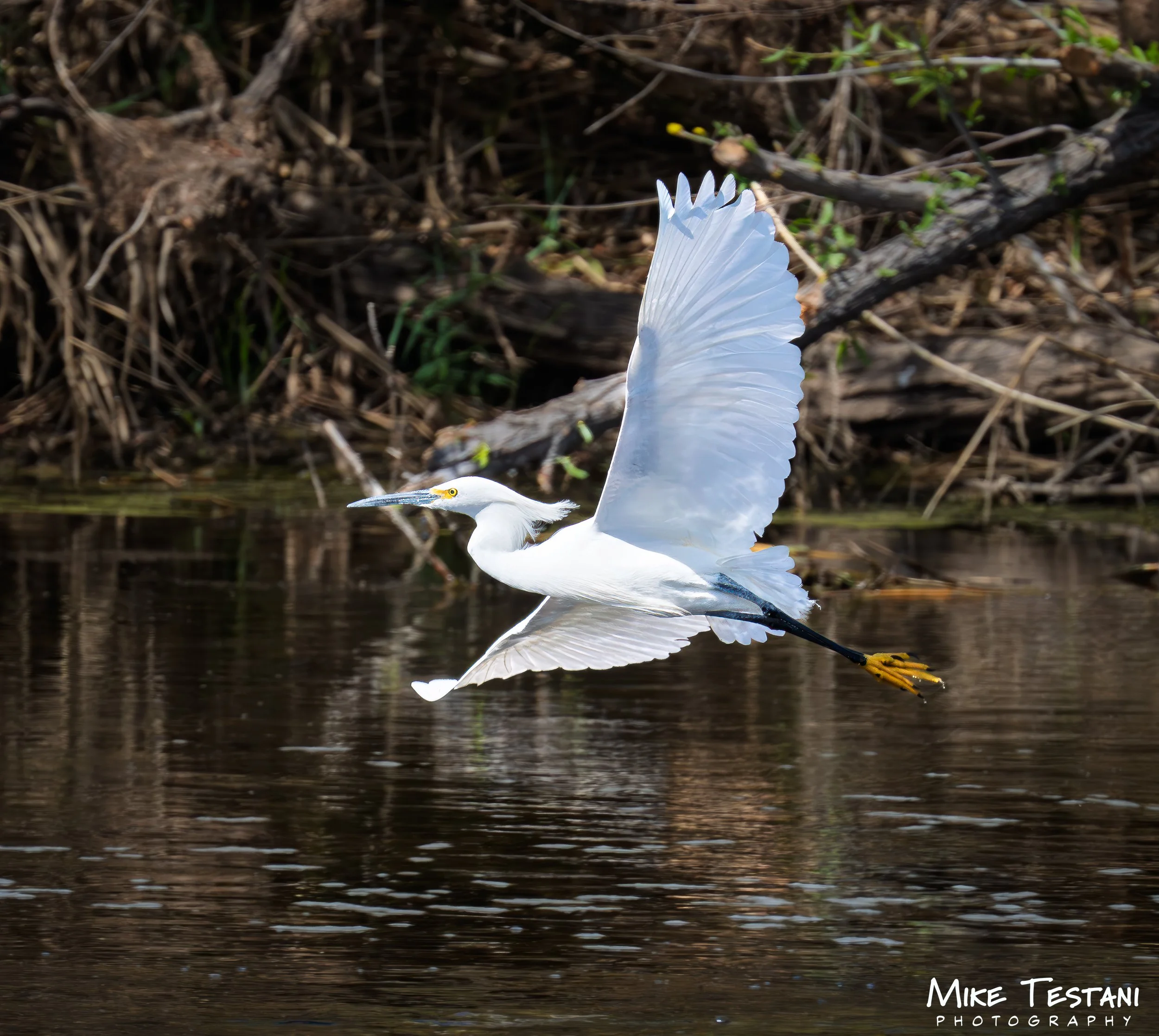 Egrett 314.jpg