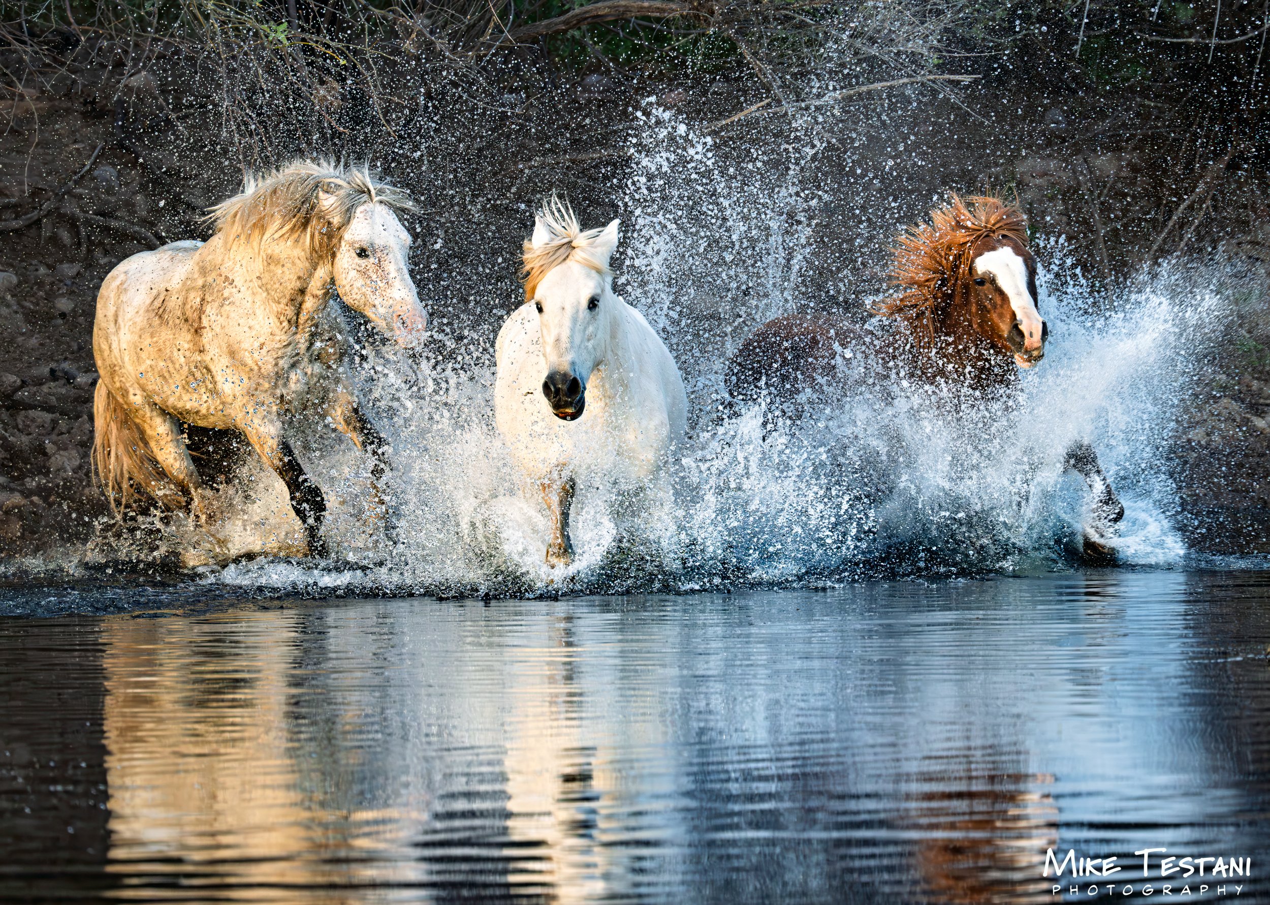 Three Amigos 3 2026.jpg
