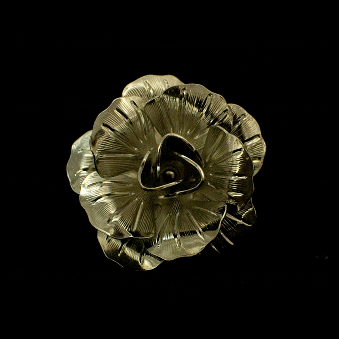 Rose-Silver_DSC6805.gif