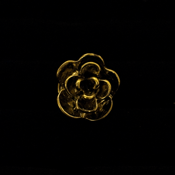 Small-Gold_DSC6807.gif