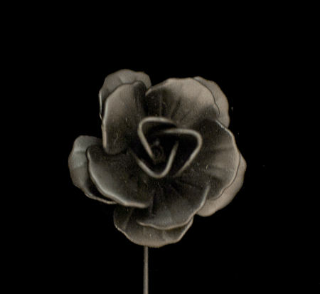 Rose-Blk-Tp_DSC6778.gif