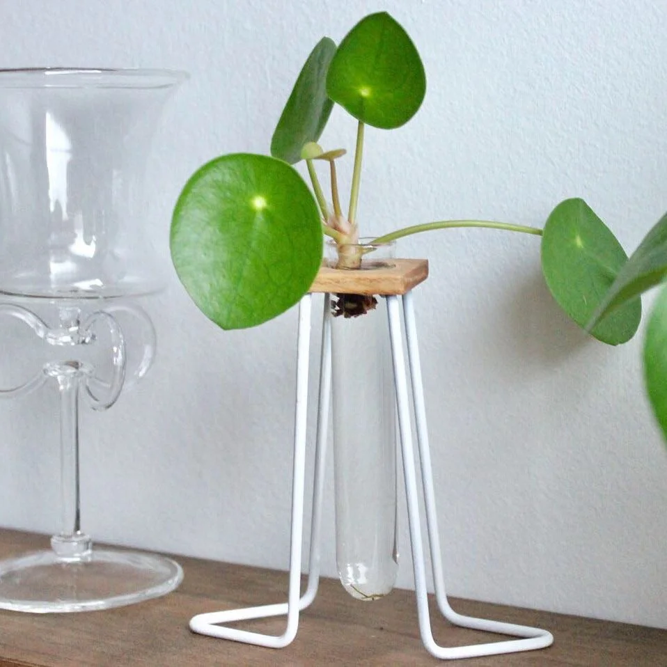 651E6067-C177-487B-B5E8-0B96E0D5099C 2.jpeg