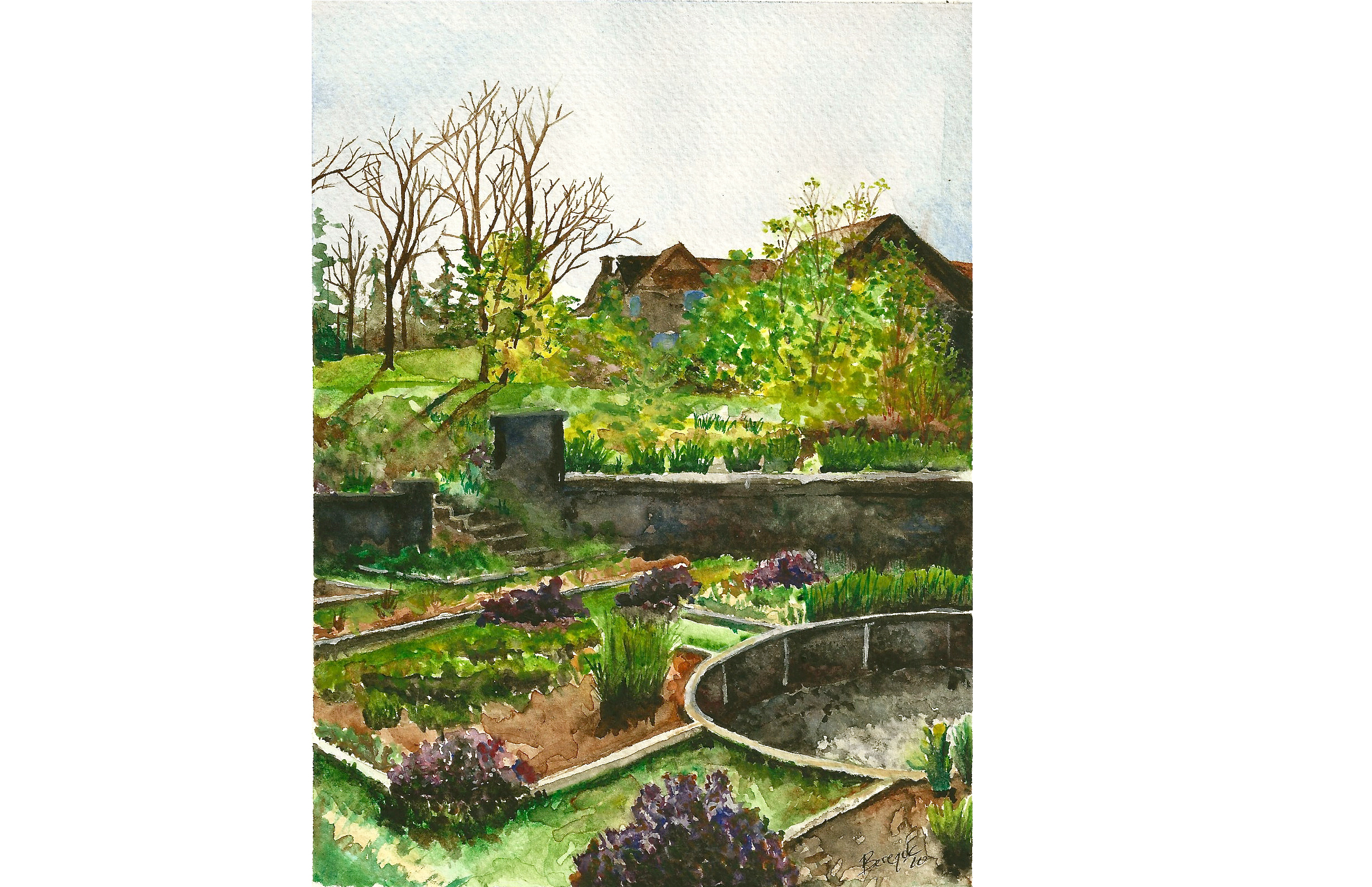  In Turrets Garden,  watercolor  