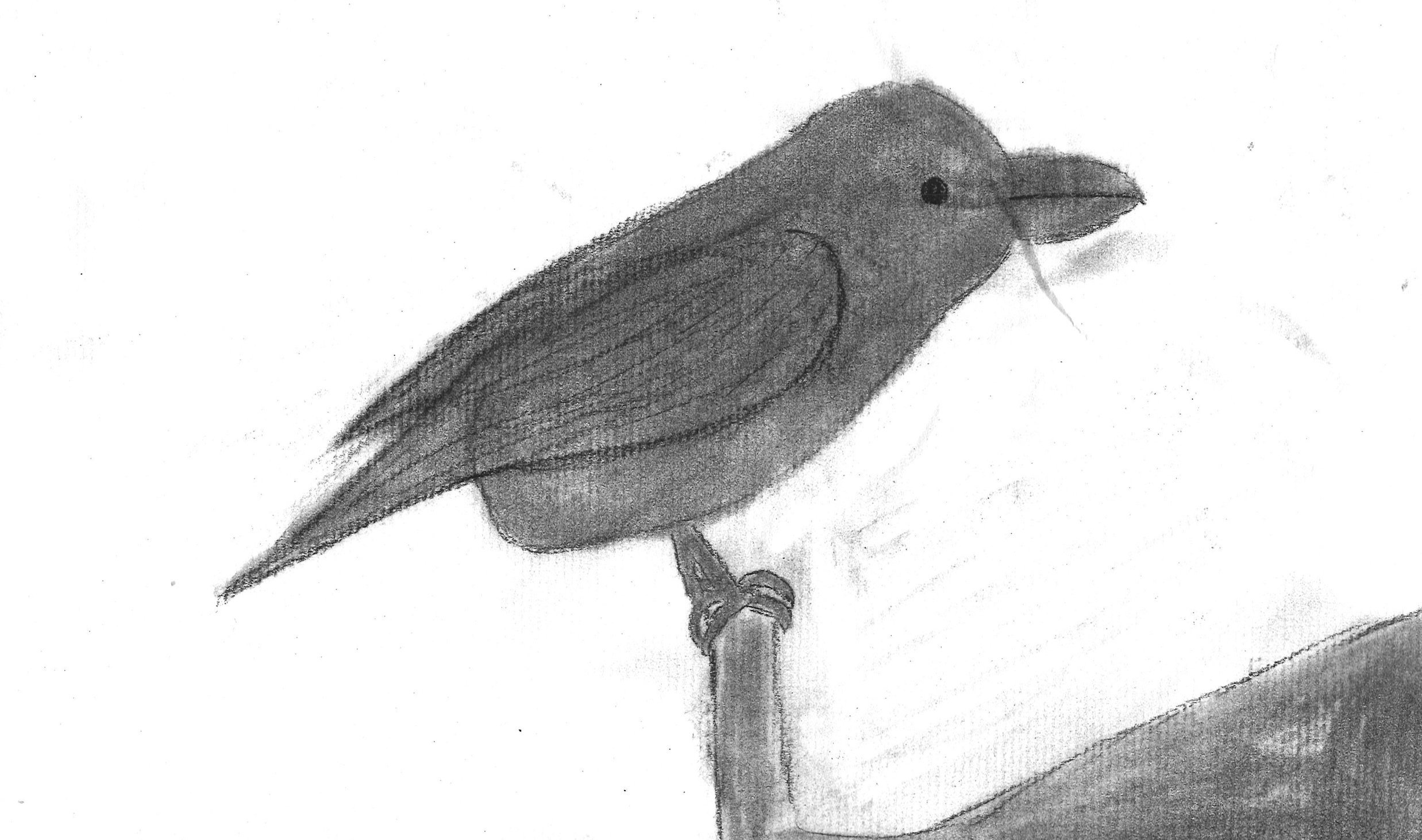 Scan+1+copy+6.jpg