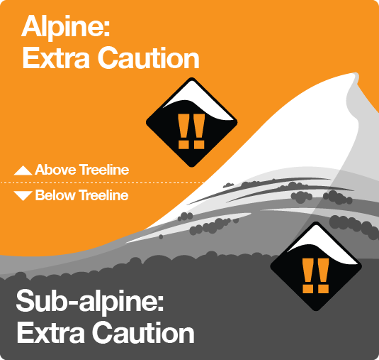 Mountain environments can be categorised as above or below the tree line, thus Alpine and Subalpine respectively. Find out more about how these types of terrain can create or mitigate backcountry hazards here.