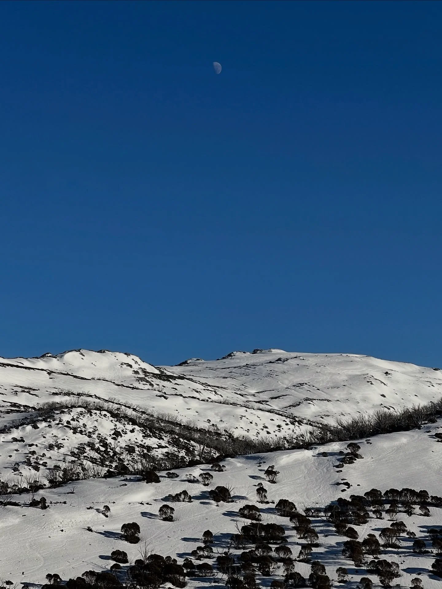 🚨 Missing Skier - Call for Information 🚨

UPDATE: NSW Police have advised missing backcountry skier, Cameron Little, has been located safely.

***

Police are seeking help from anyone who may have travelled from Guthega to Mt Jagungal between 4&nda