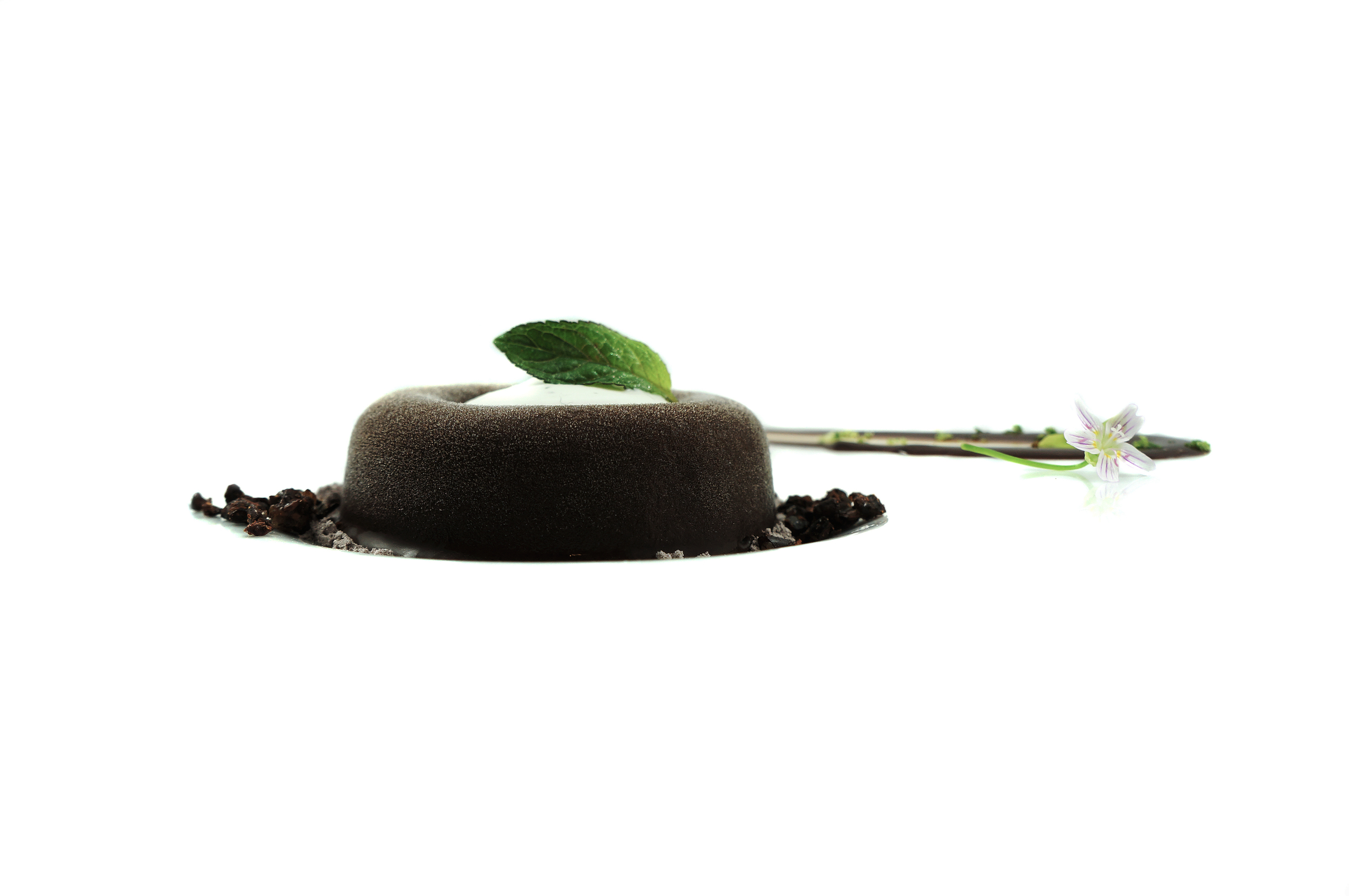 chocolate mint mousse.jpg