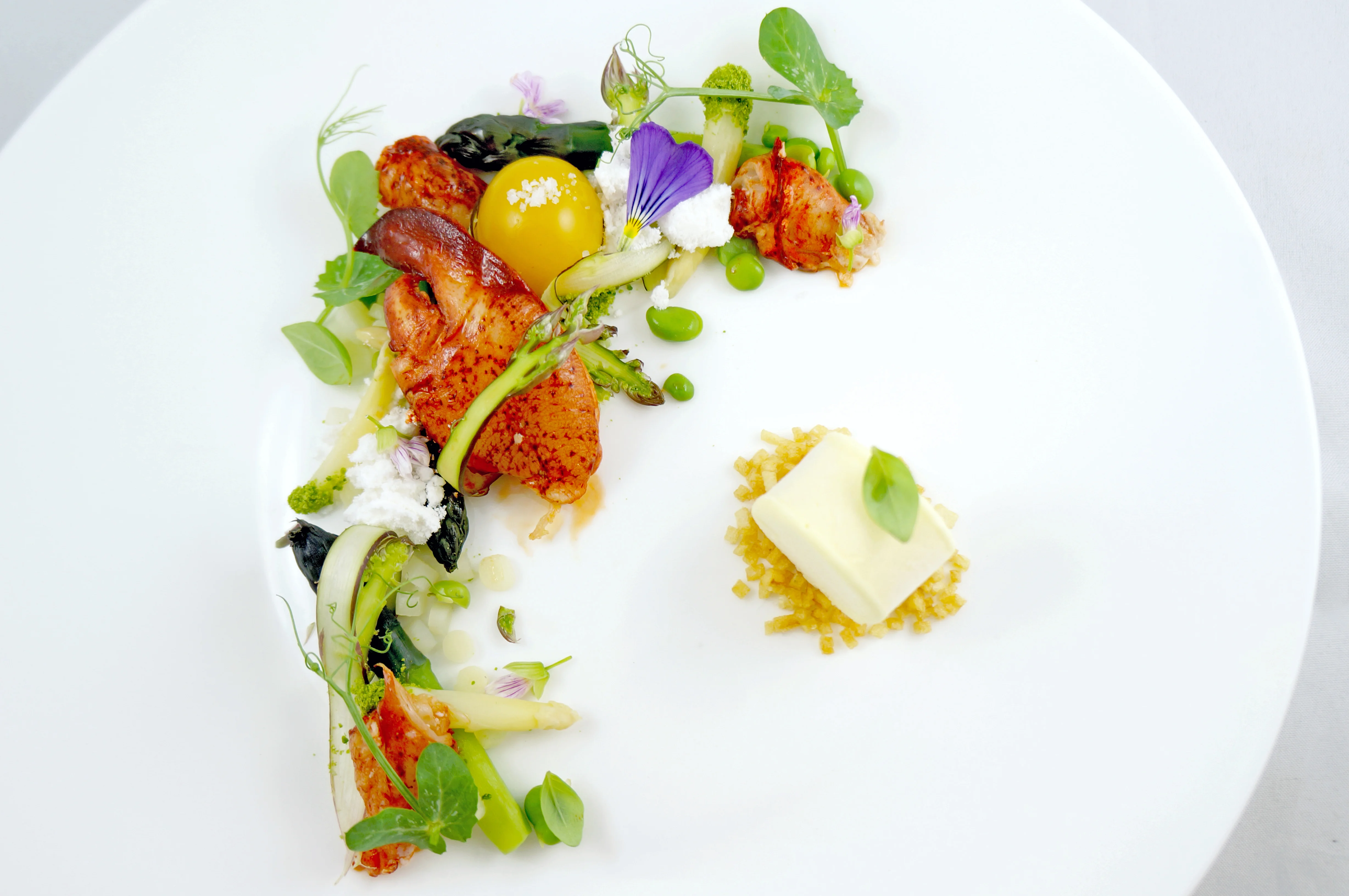 lobster & asparagus