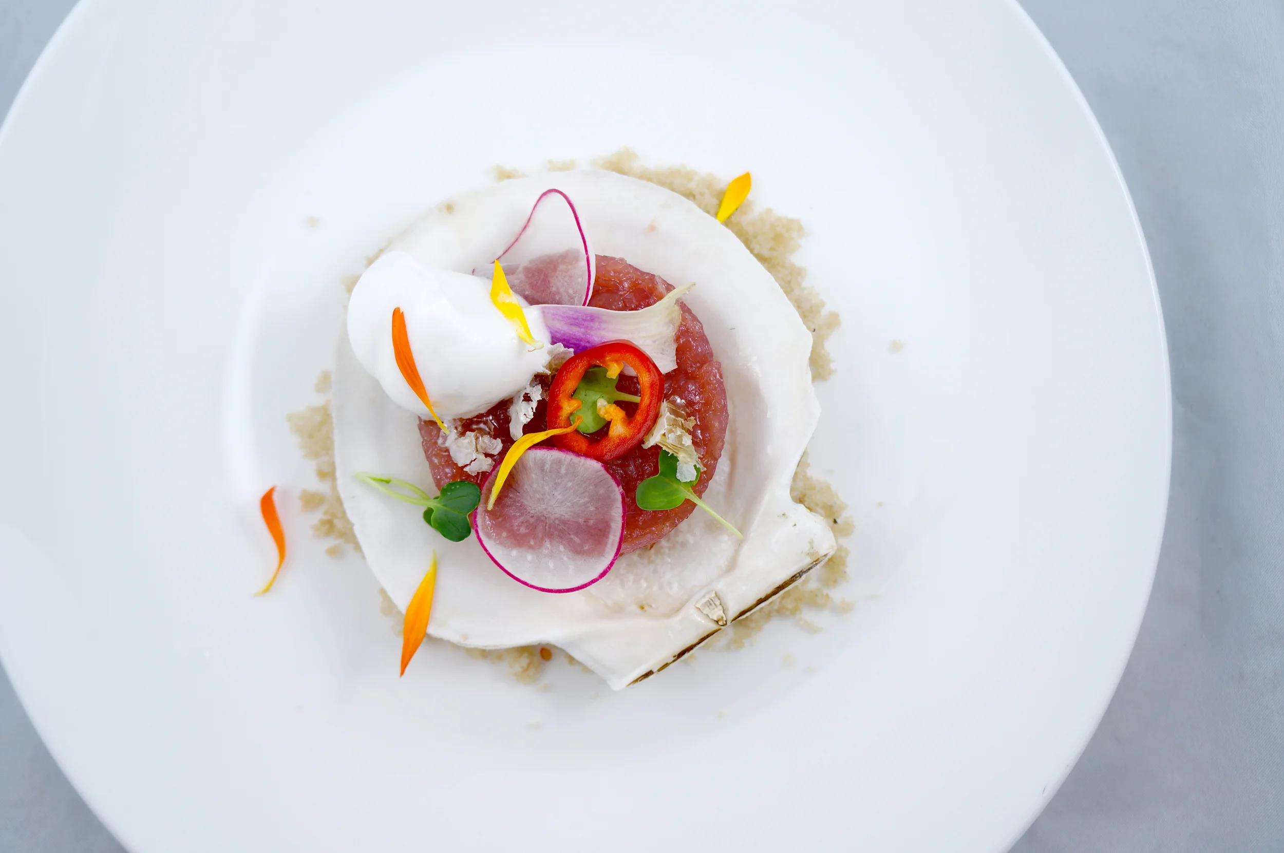 Tuna Tartare