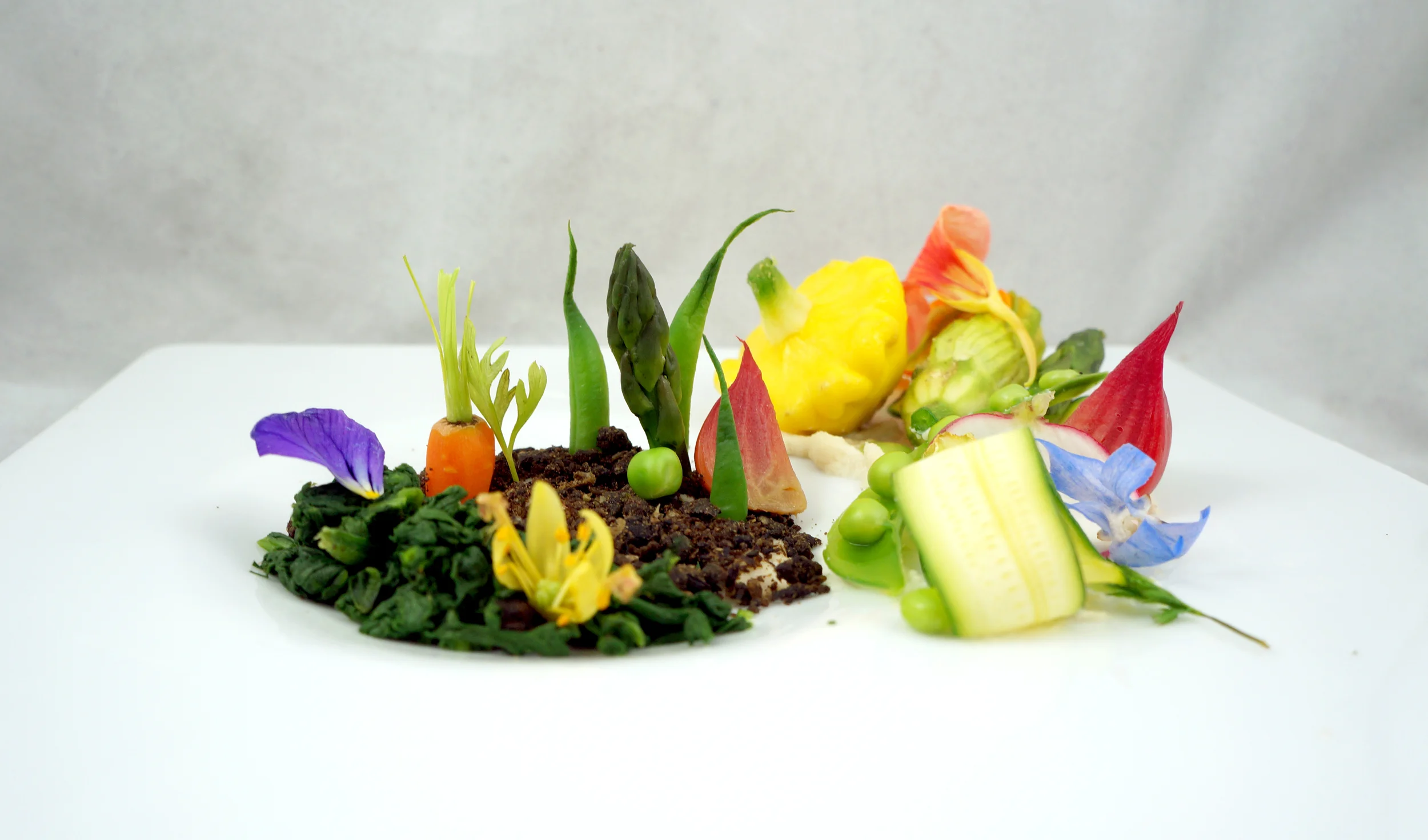 edible garden 3.jpg