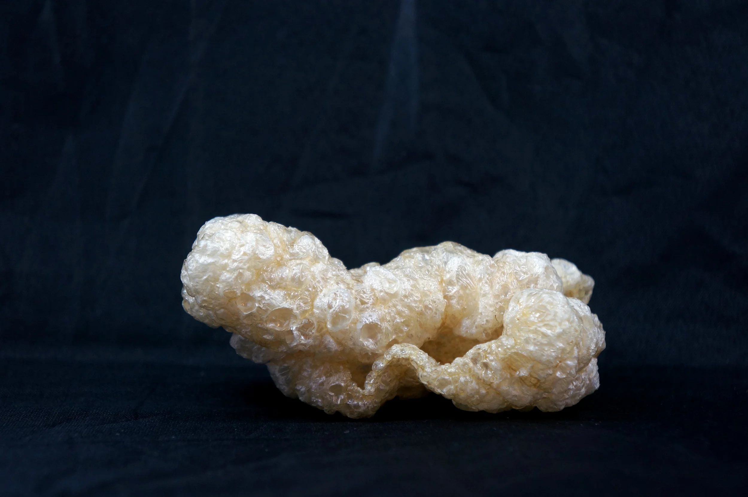chicharrones.jpg