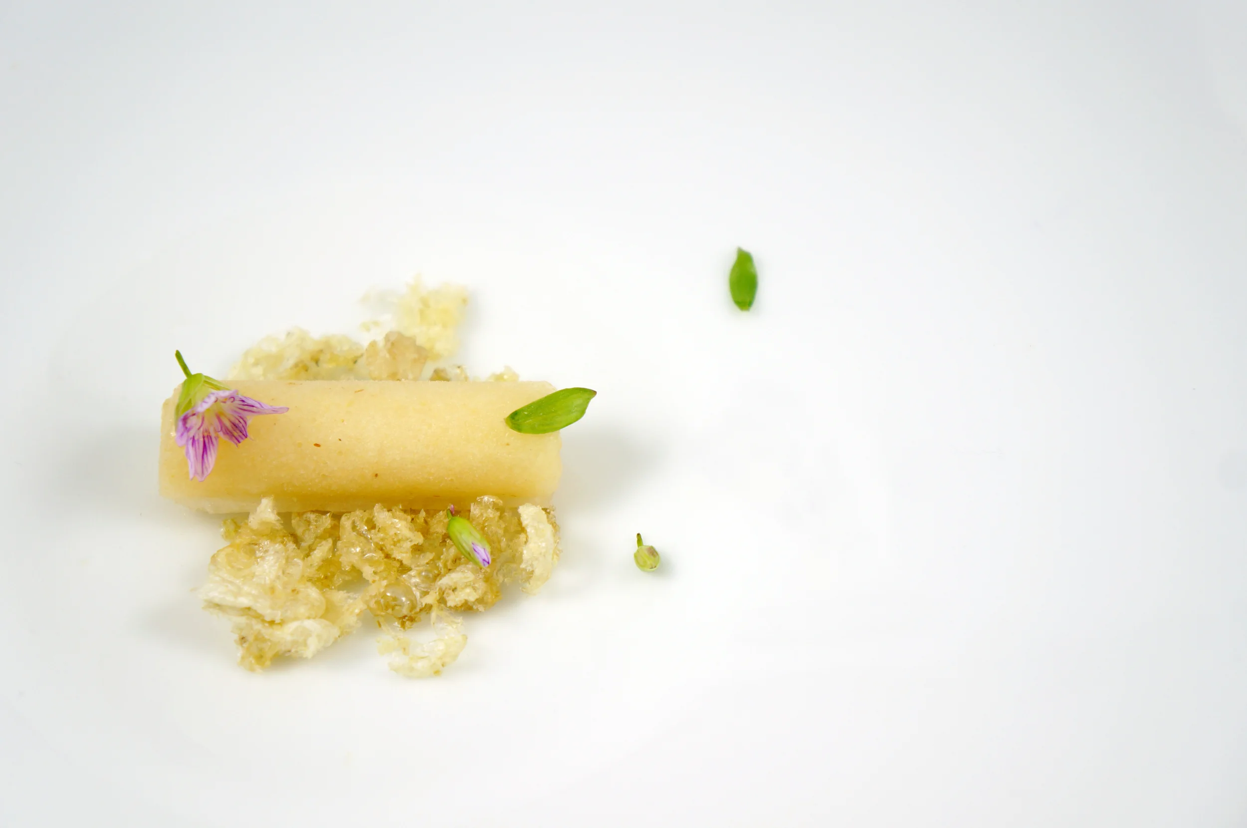 pear sorbet and chicharonnes.jpg