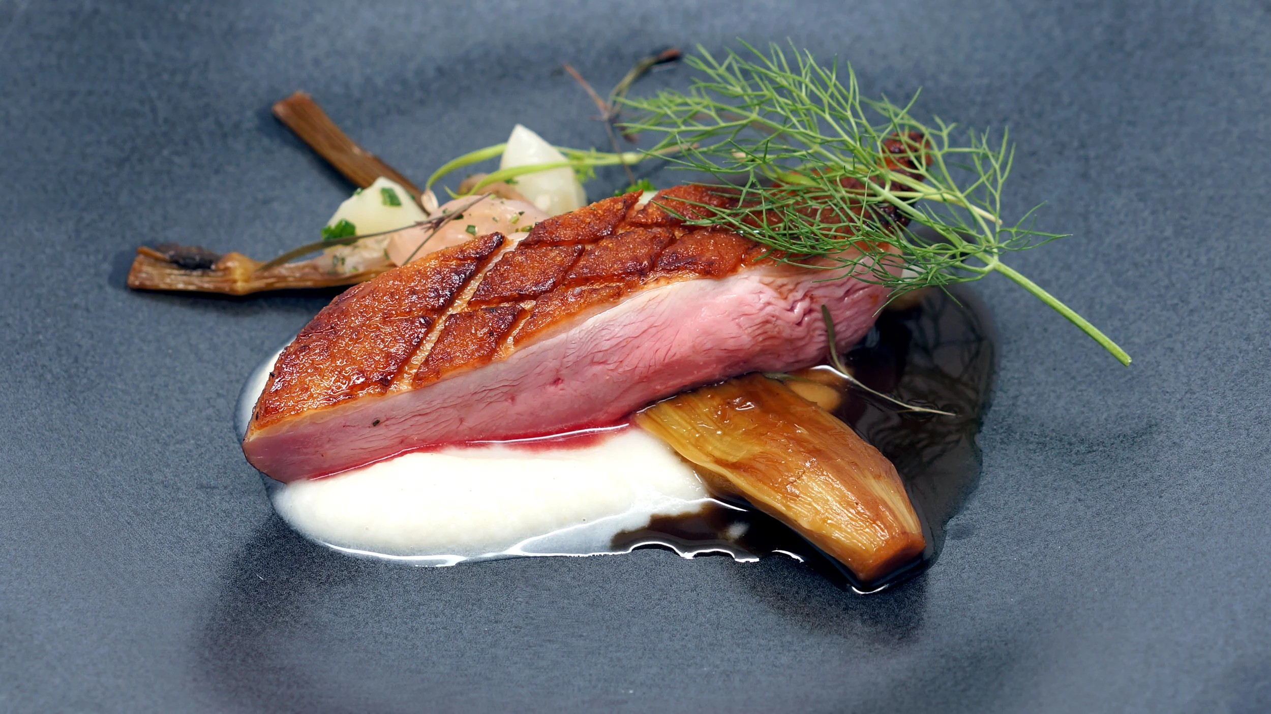 duck breast, salsify, celery root, caramelized fennel.jpg