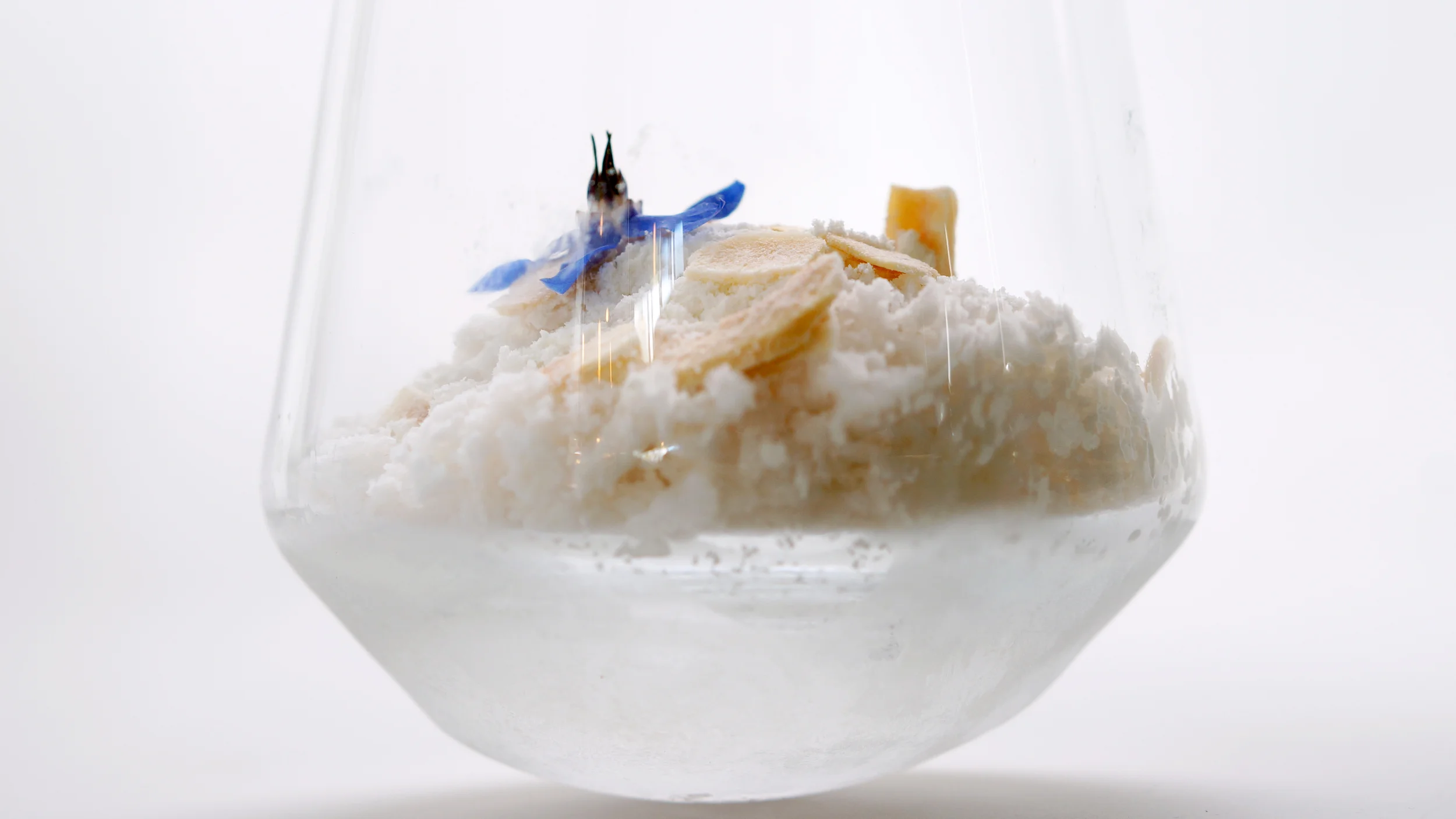 pina colada side.jpg