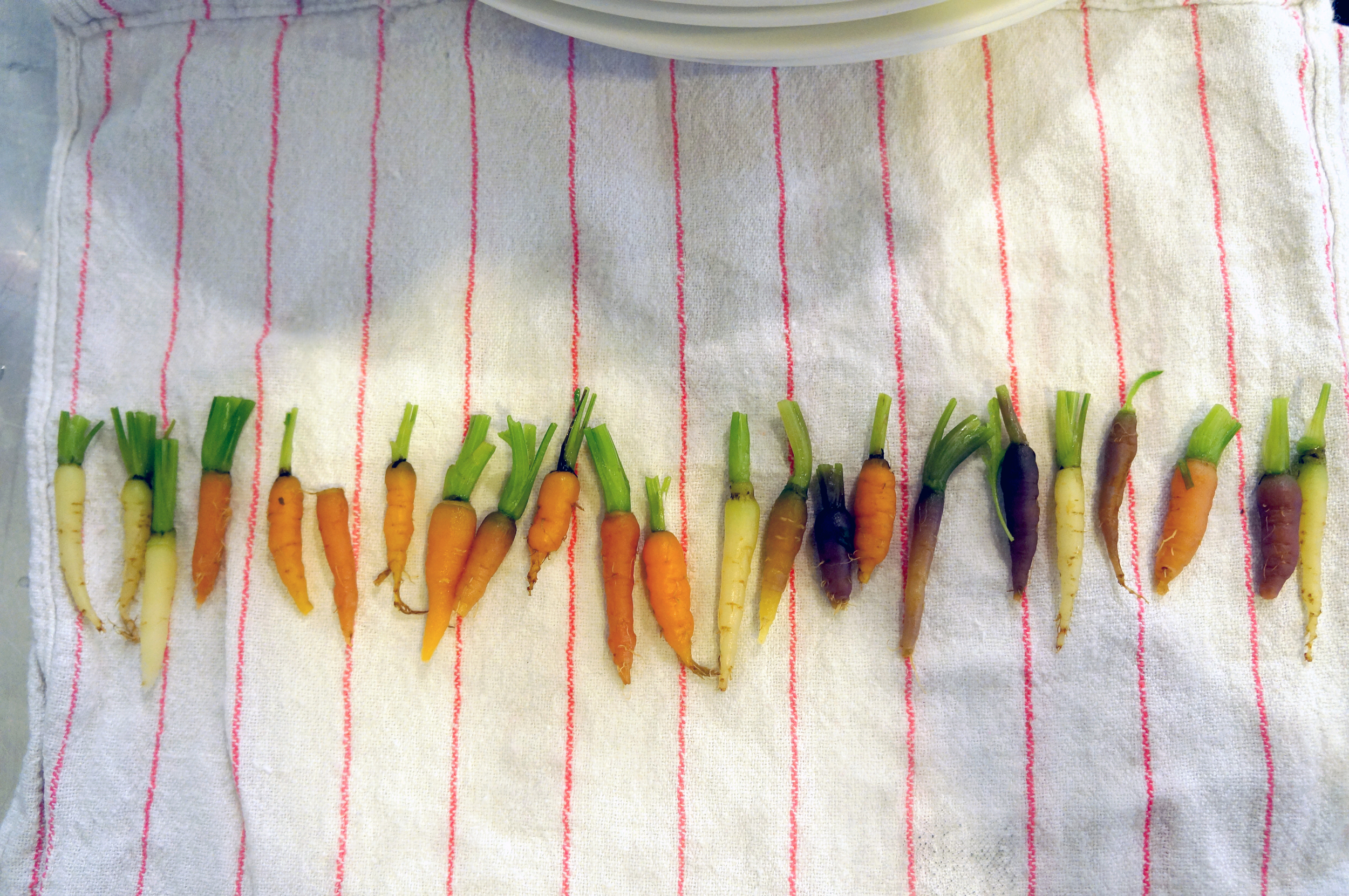 baby carrots.jpg