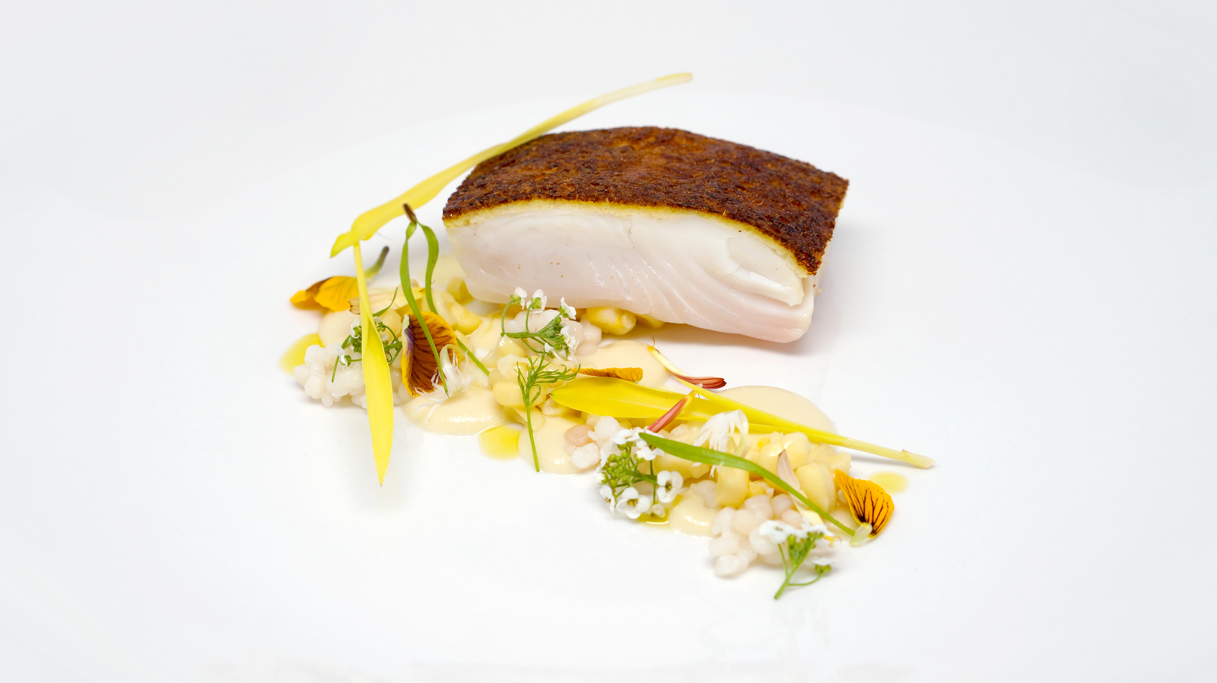 2014.04.23 - brioche crusted halibut & corn.jpg