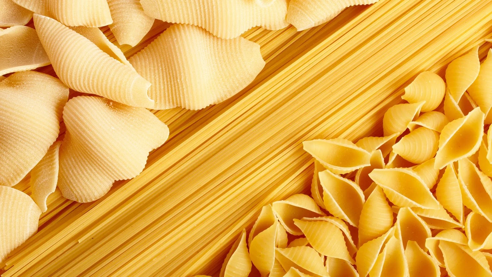 encyclopedia of pasta