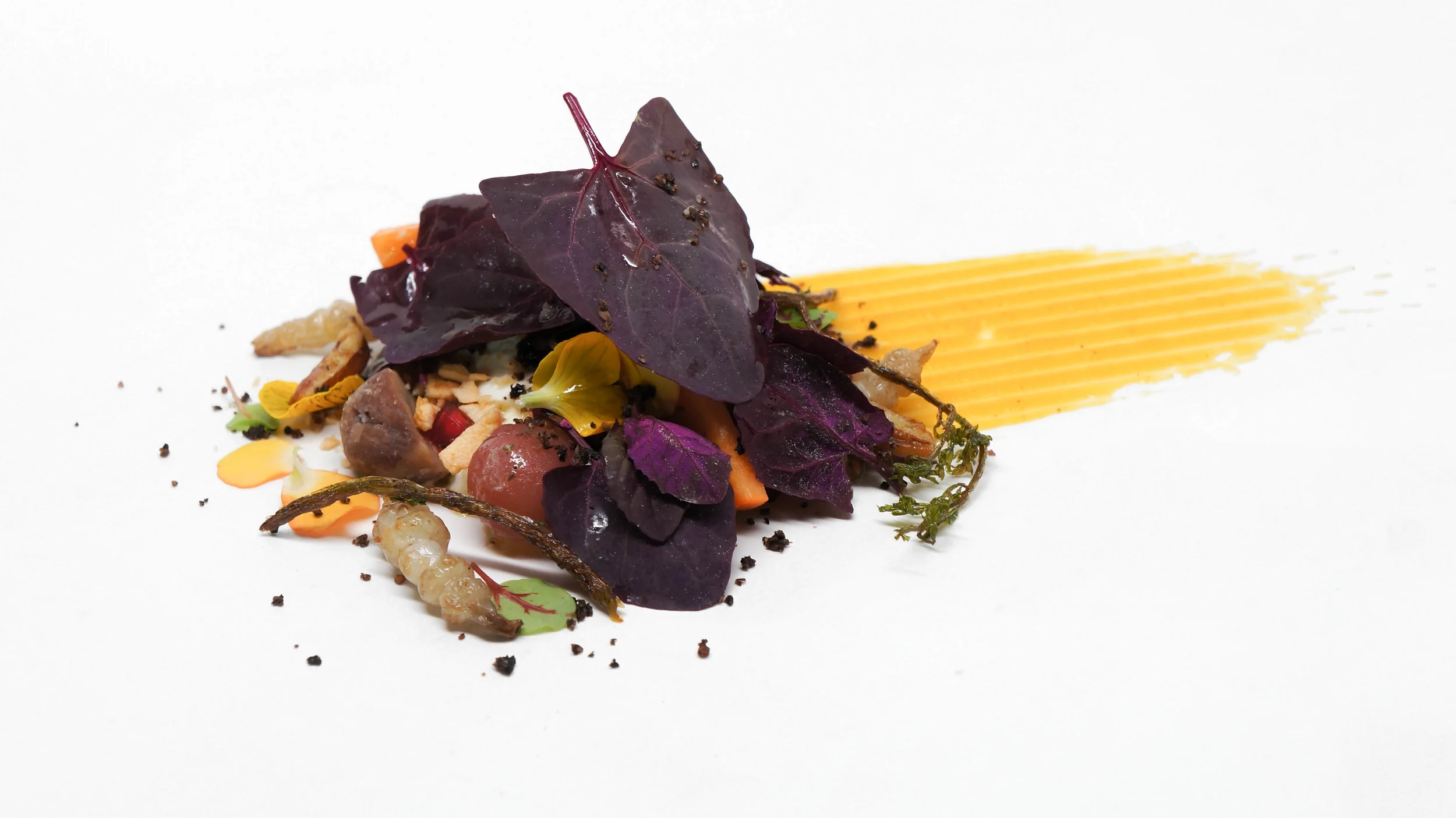 chef's table - november 12th, 2014