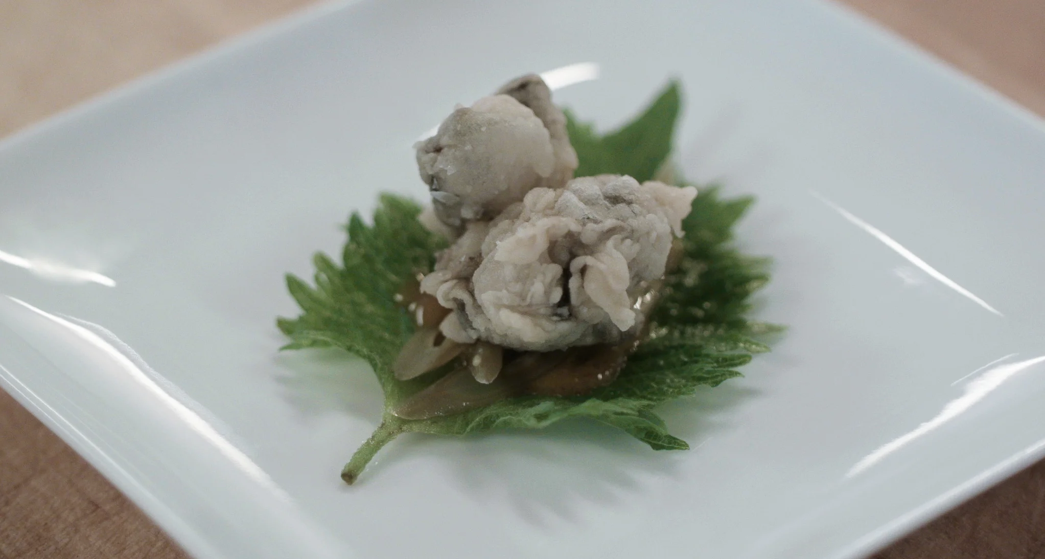KUMAMOTO OYSTER