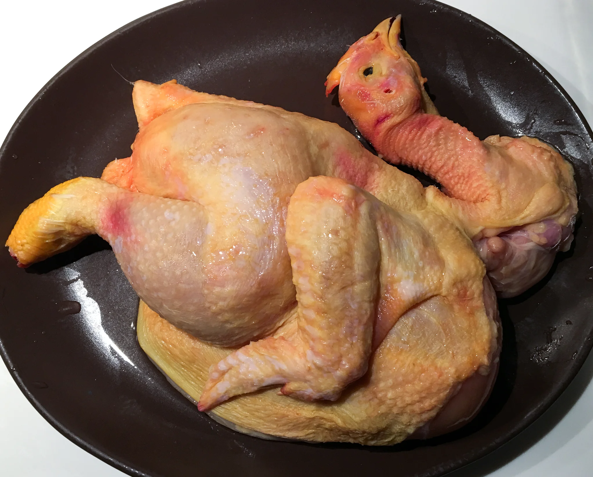 SPANISH HEN