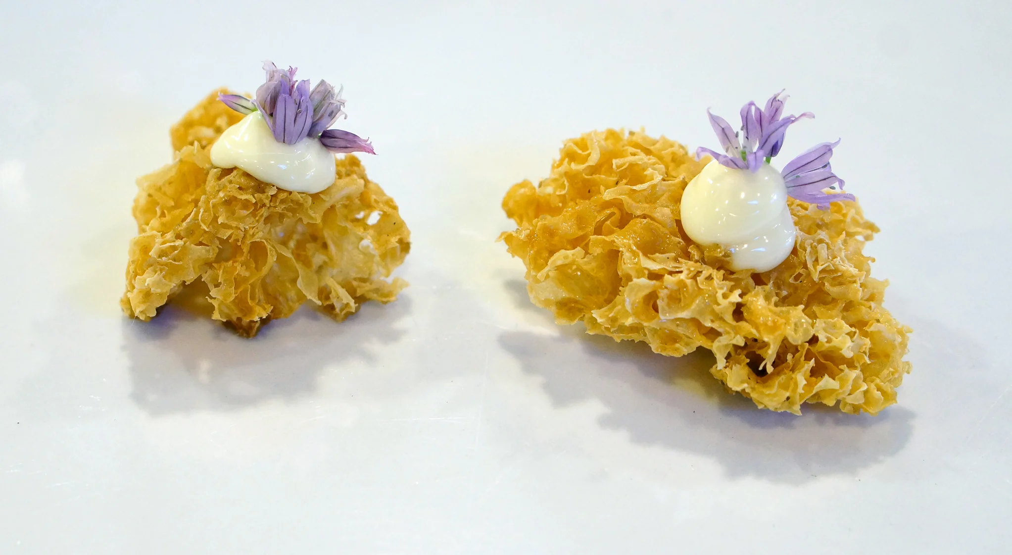 2014 - PANASIAN - sour cream & onion white fungus.jpg