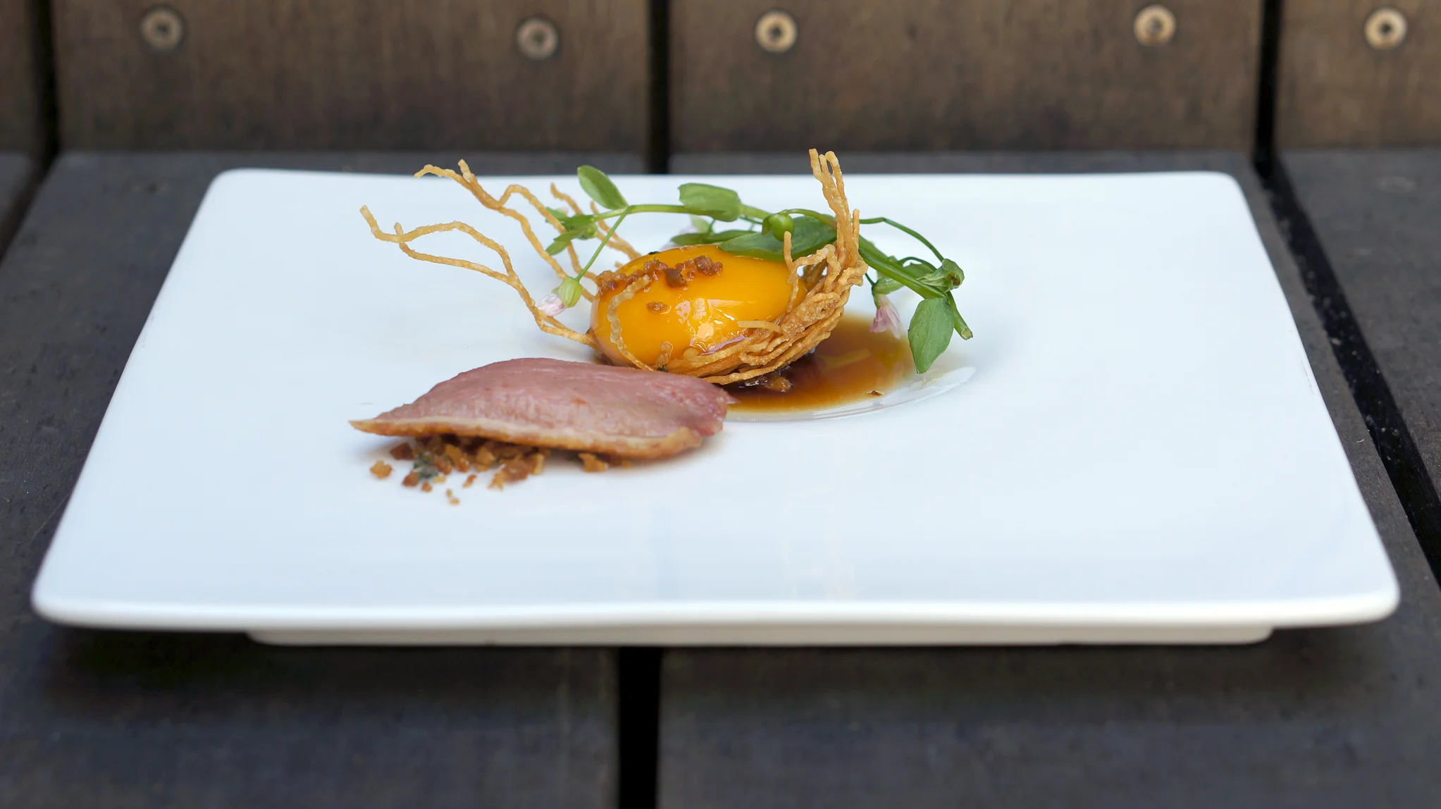 2014 PANASIAN - duck egg and nest.jpg