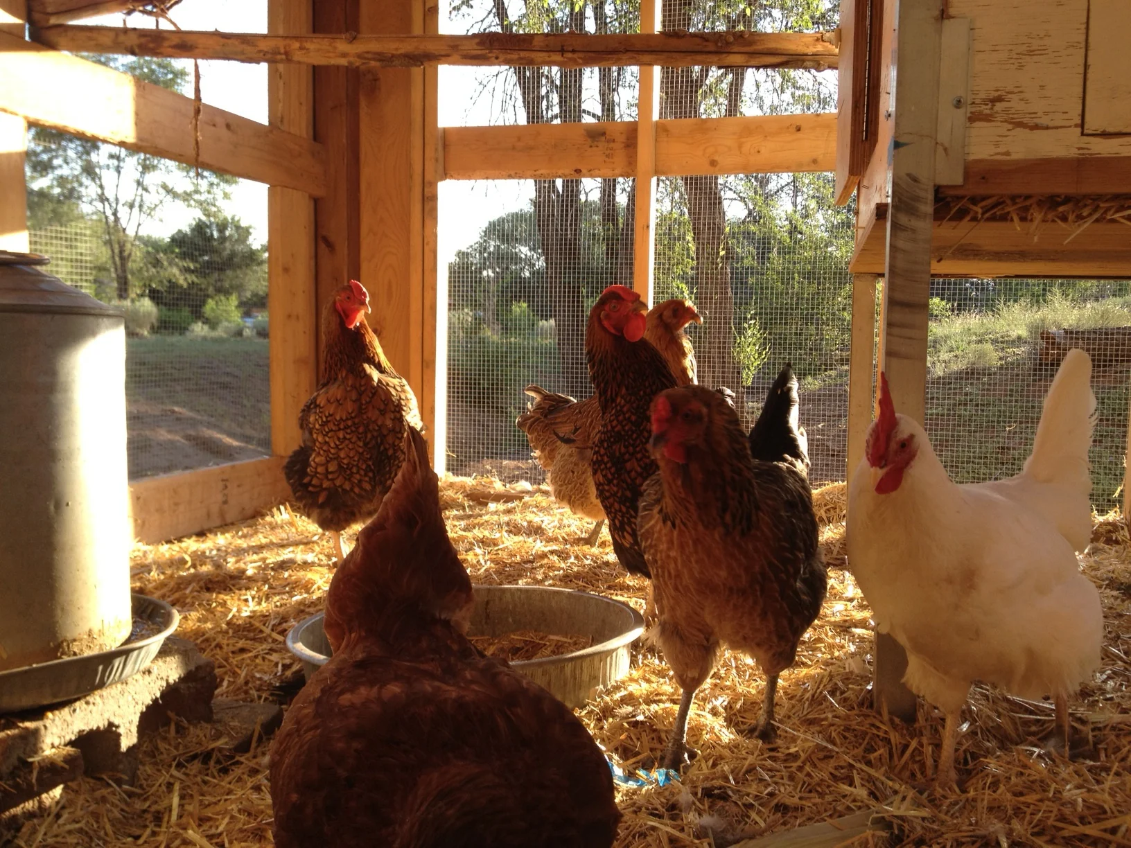 lab scientists hard at work.