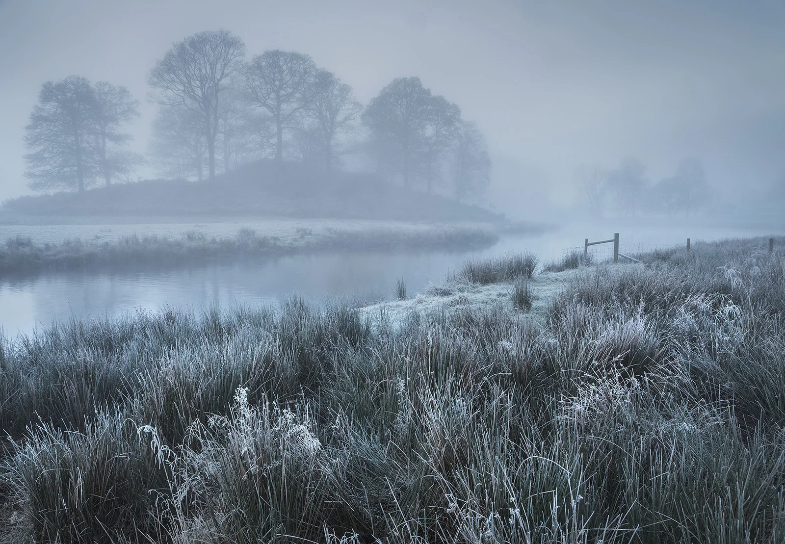 Frosted.jpg