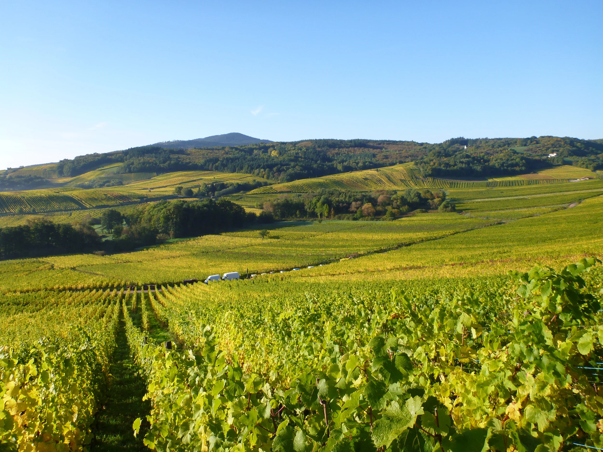 Alsace