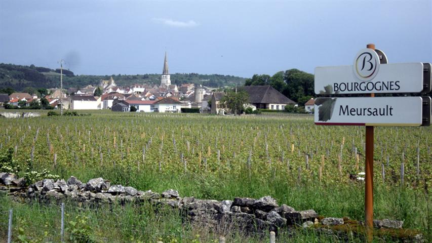 Meursault-052012-Small.jpg