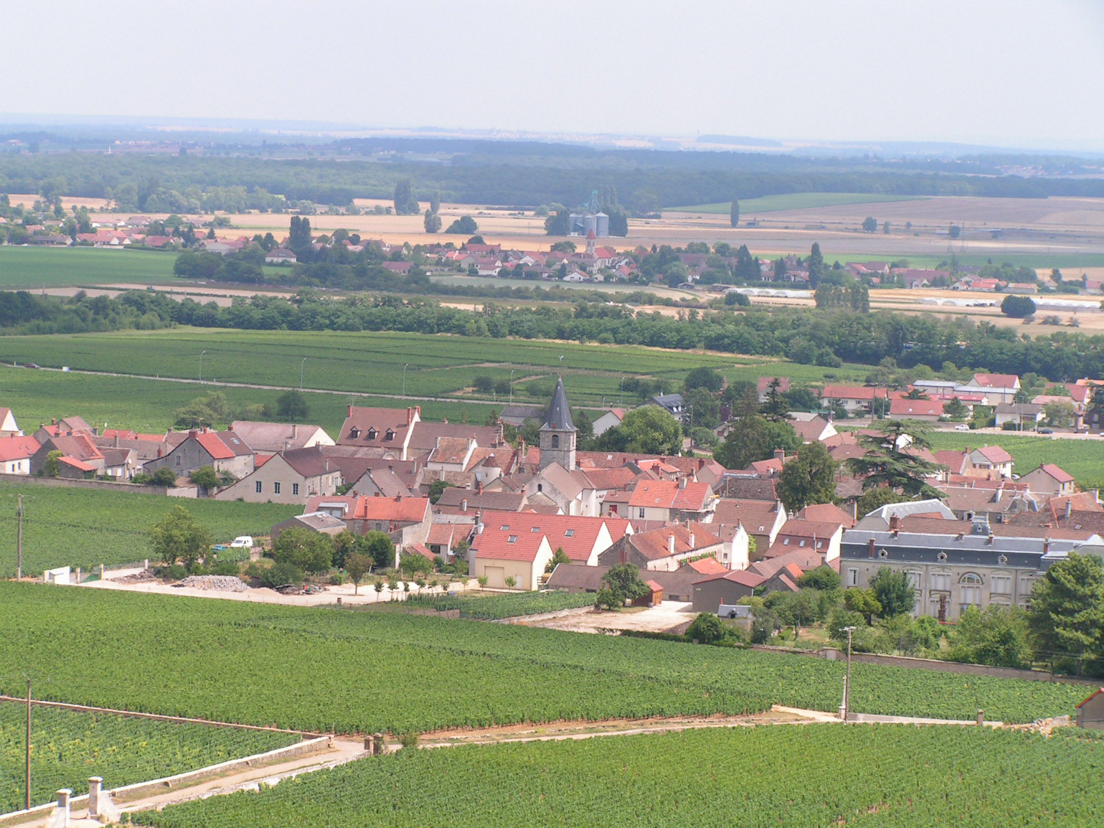 Vosne-Romanee.jpg