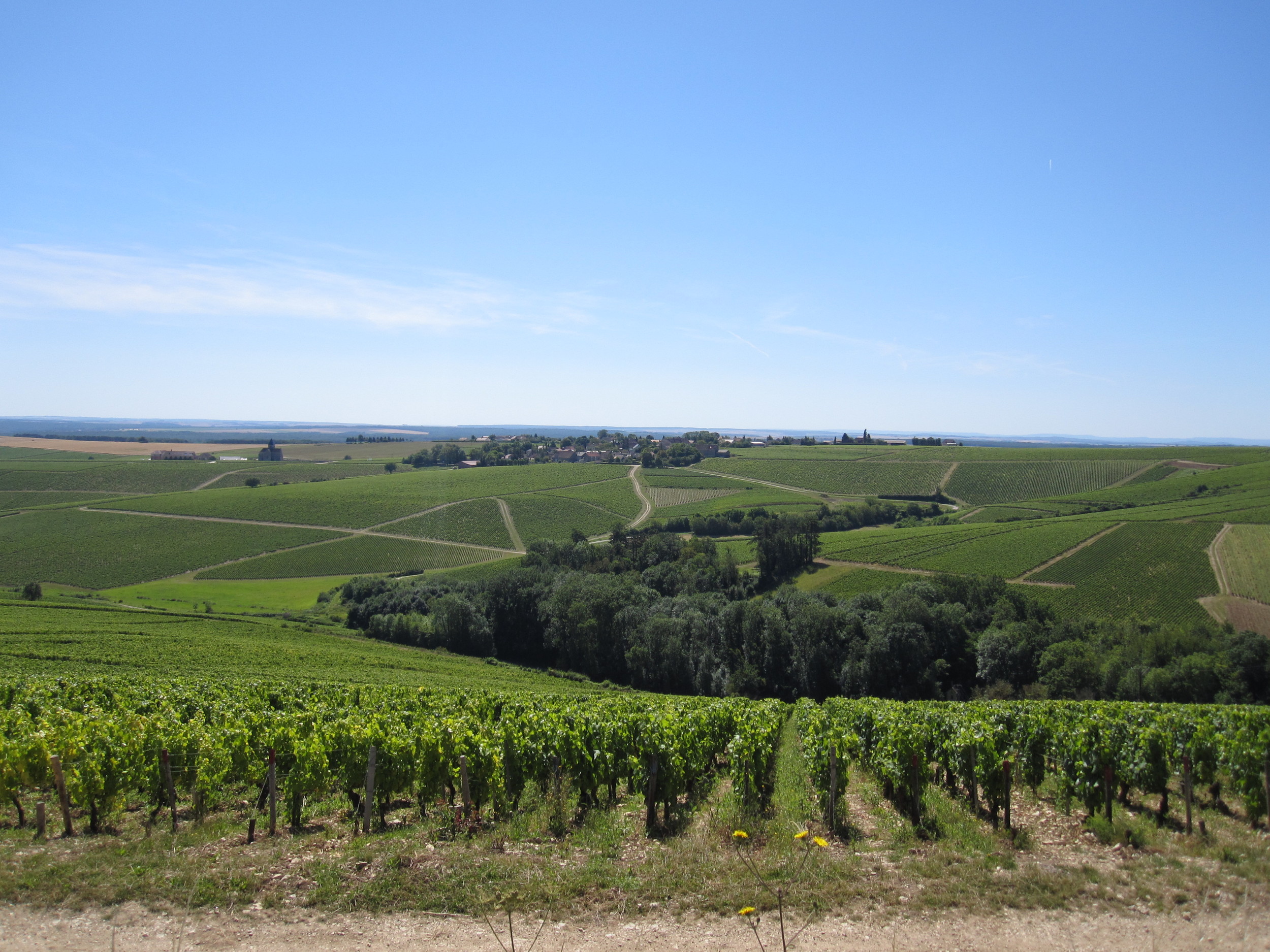 Overlooking-Chablis-vineyards_-23_07_12.jpg