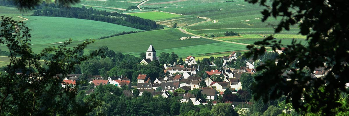 Chablis-town-and-vineyards.jpg