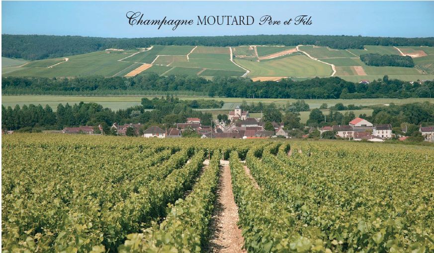vigne et village de Buxeuil avec champagne moutard Père et Fils format jpg.jpg
