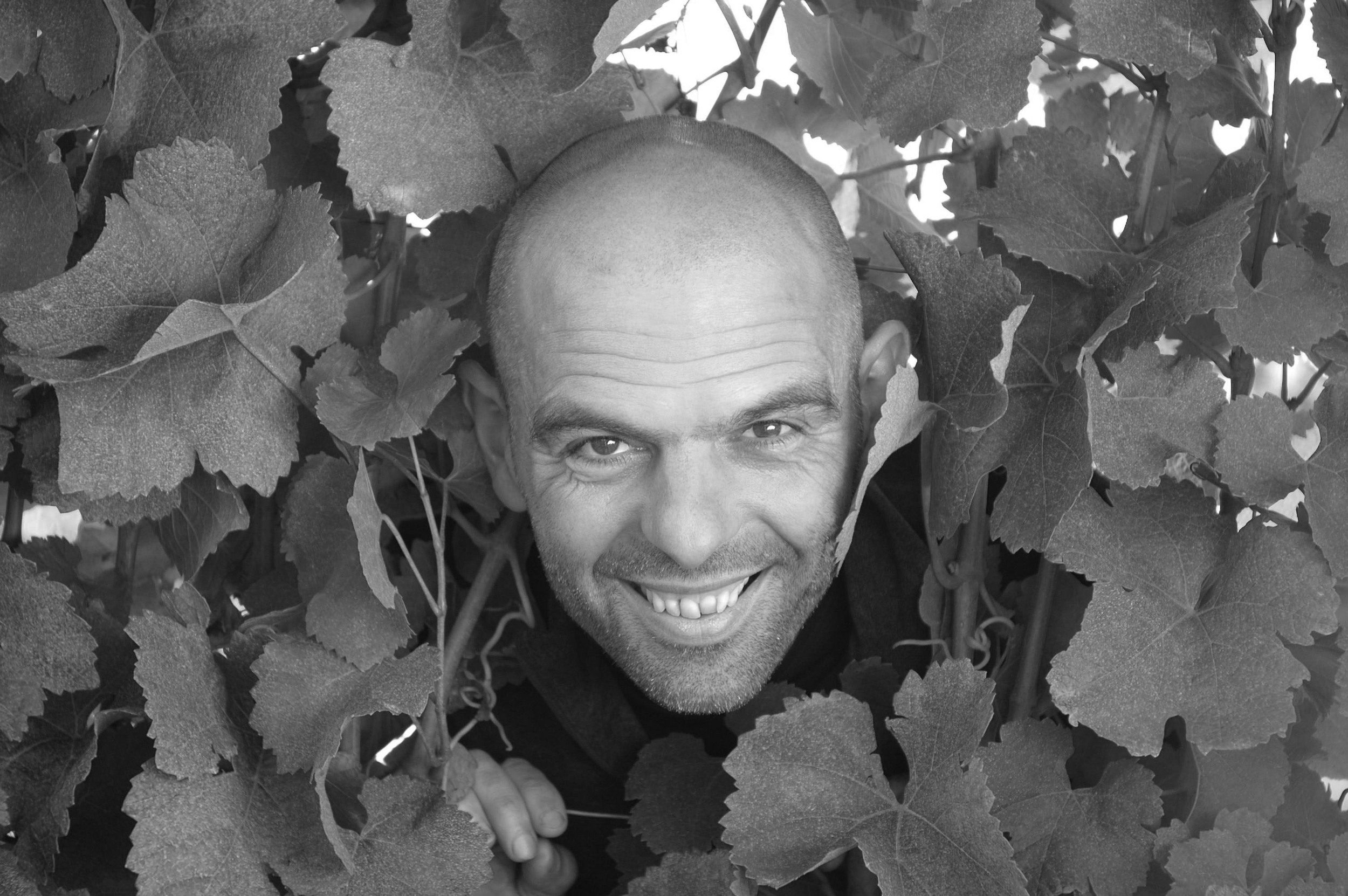 Domaine André Ostertag ~ Epfig