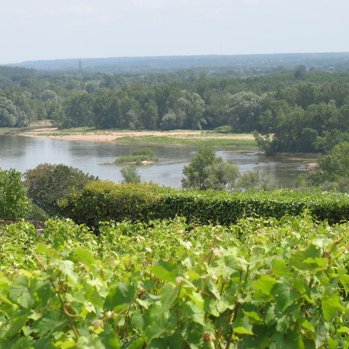 POur site Le Pays du Vouvray@Syndicat des vignerons.jpg